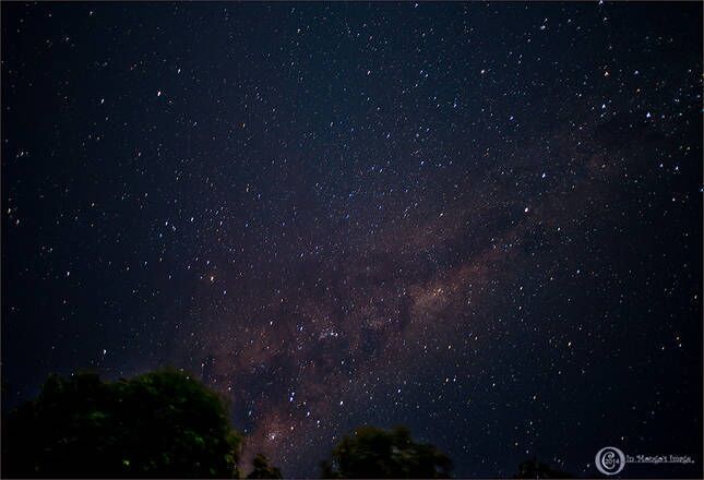 Alfie's Cottage - Coorabell, Byron Hinterland