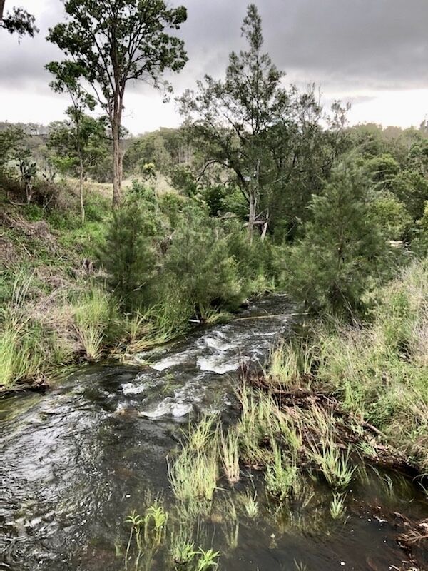 Eighteen Mile Cottage - river access with breathtaking views!