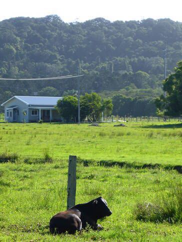 George's @ Byron Bay Rural Retreat