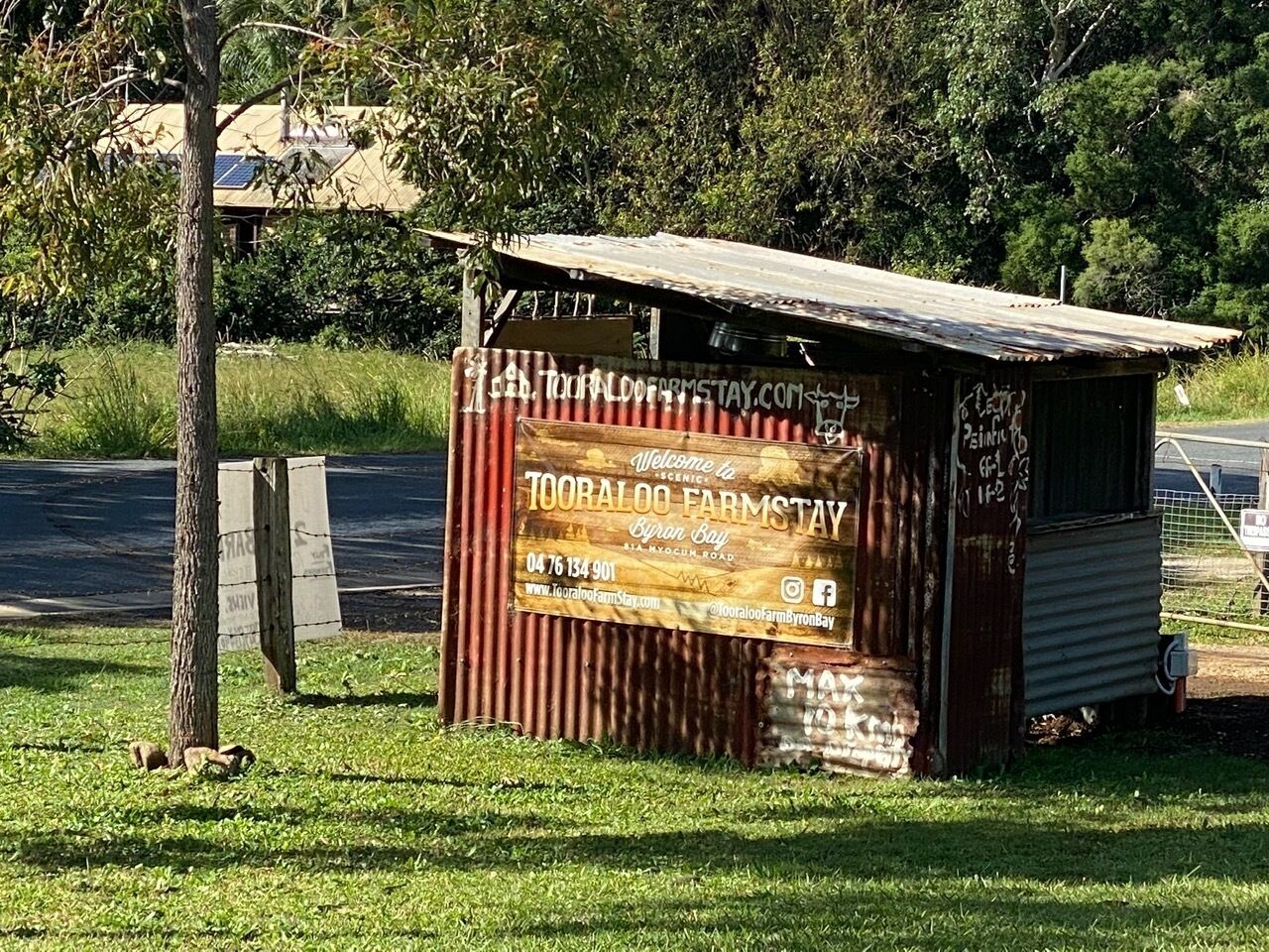 Byron Bay's MOD Swanky Shed