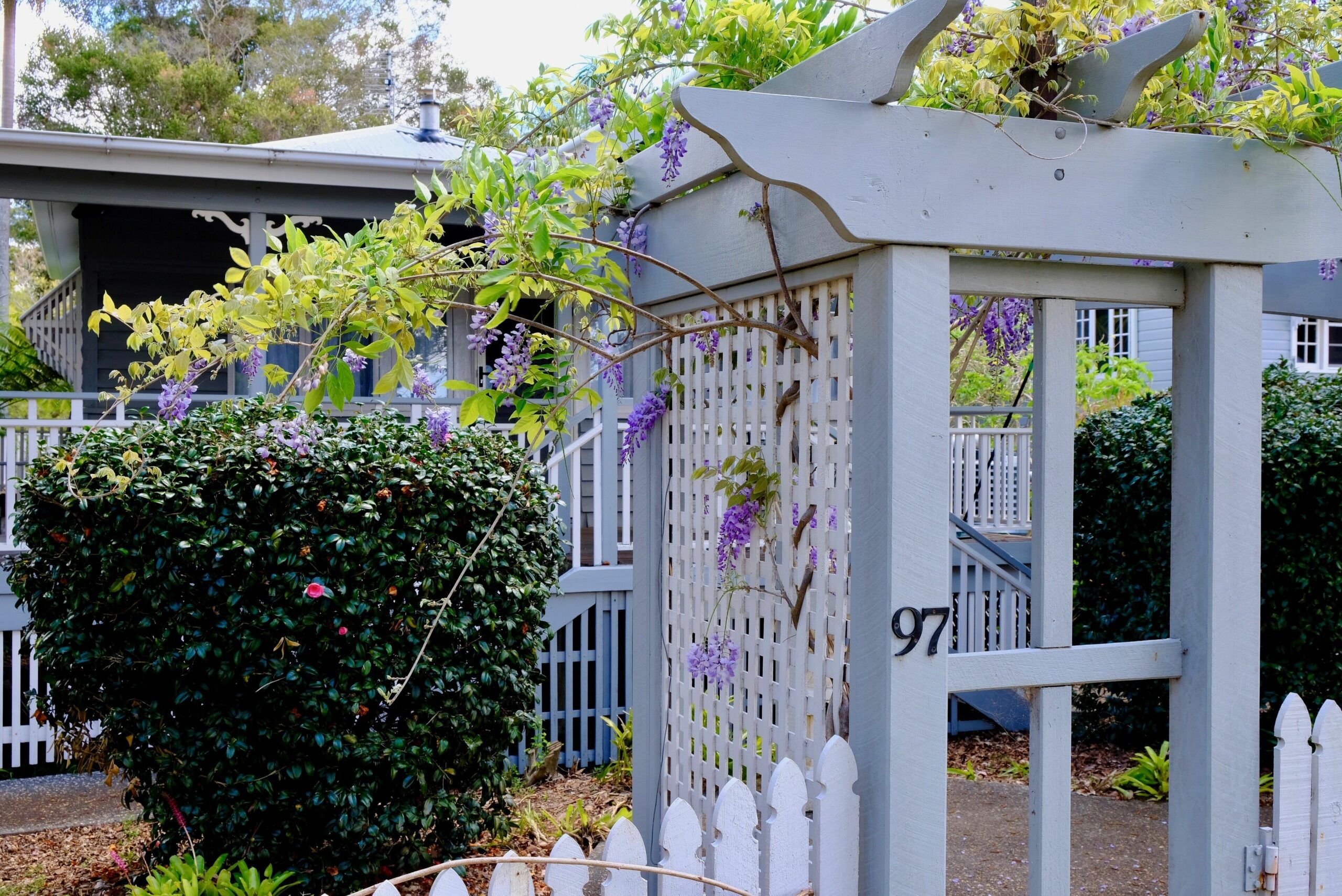 Wisteria Cottage in the heart of Mount Tamborine - dog and cat friendly