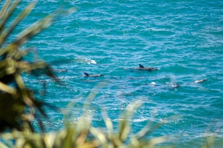 Broadleys at Stradbroke Island, Wifi, Views, Dogfriendly