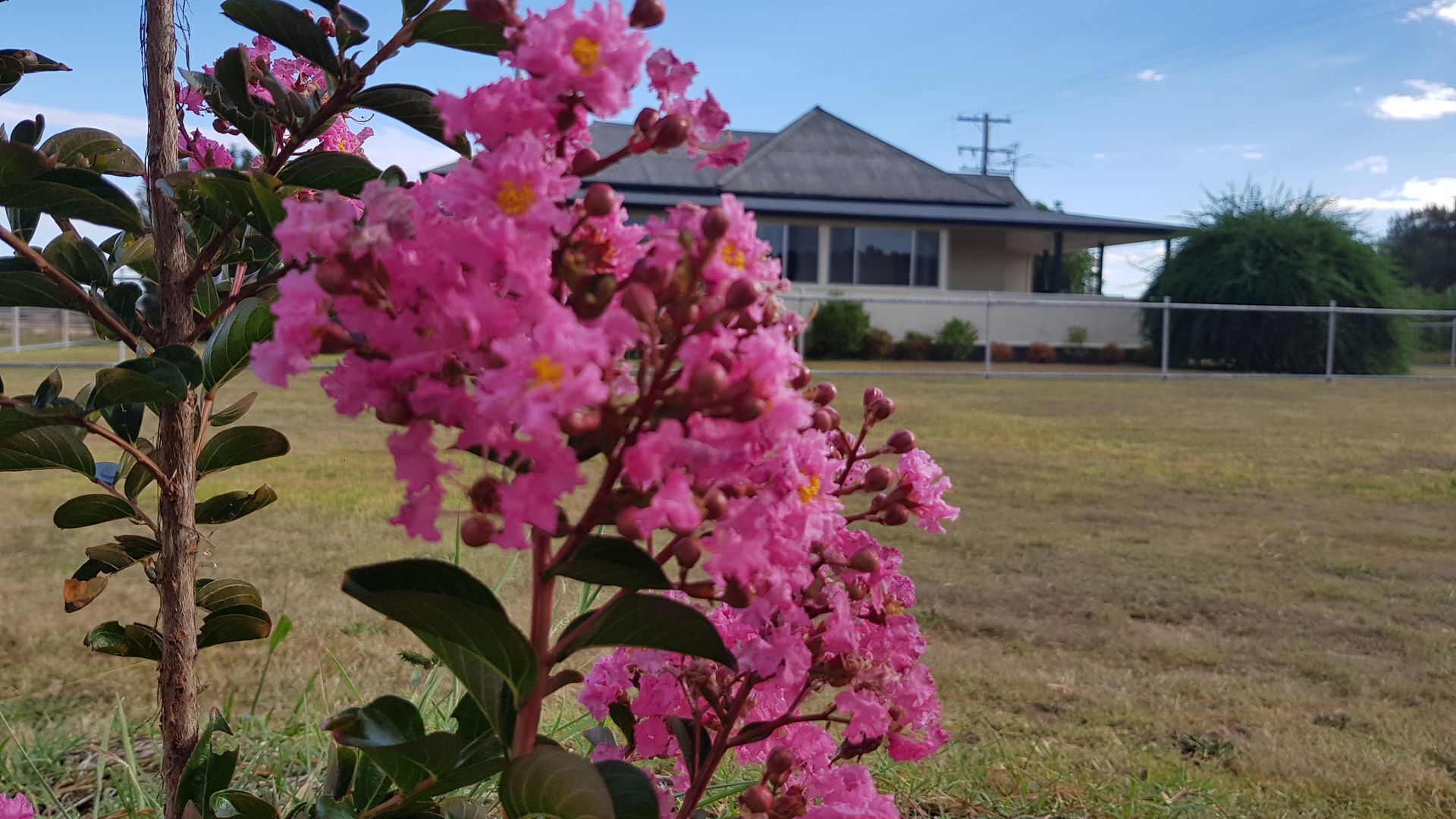 Fairbanks Guesthouse - Rural Retreat