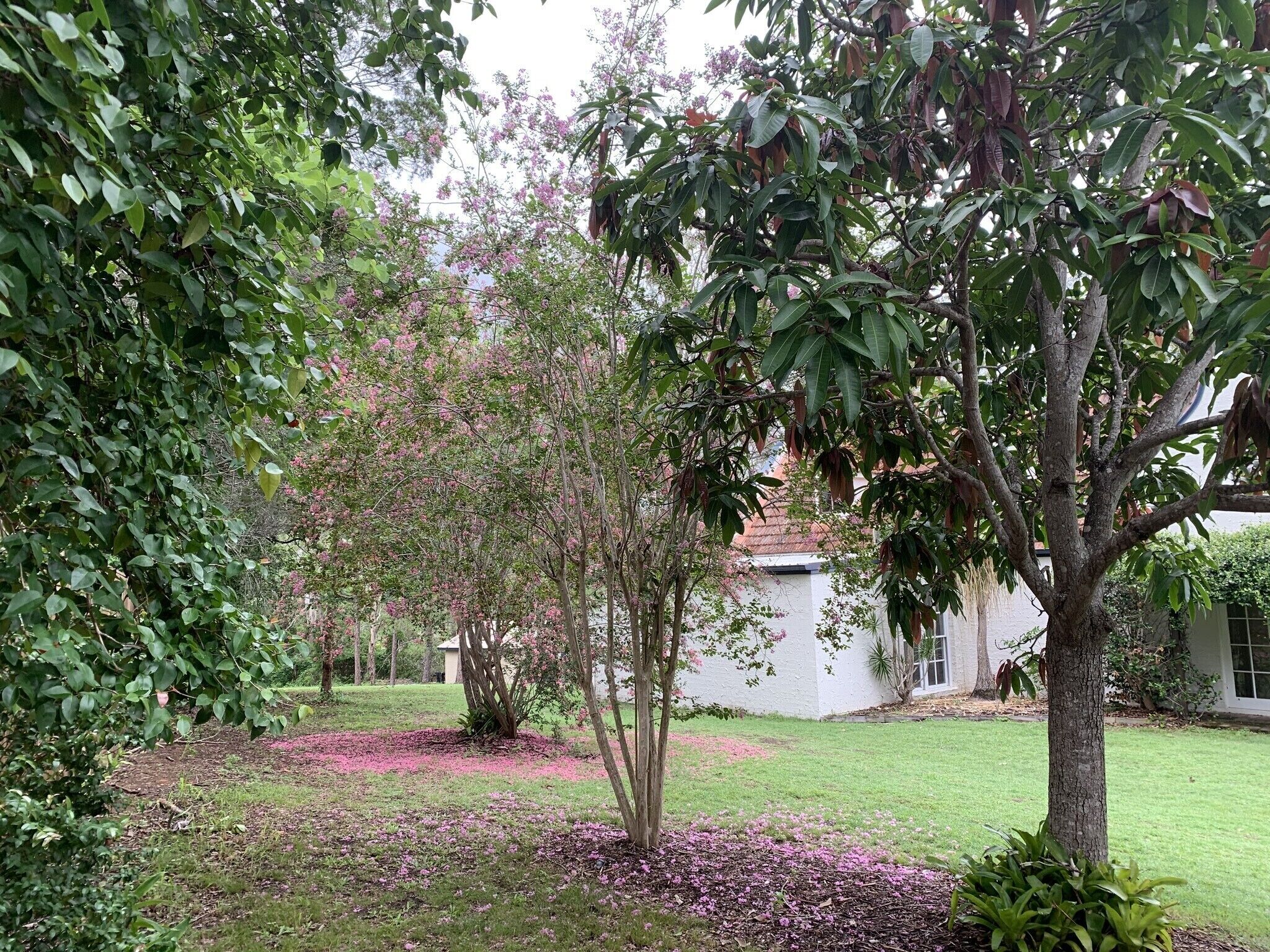 Country Mansion Private Retreat, Pool, Gym, Wow! Brisbane City 12km