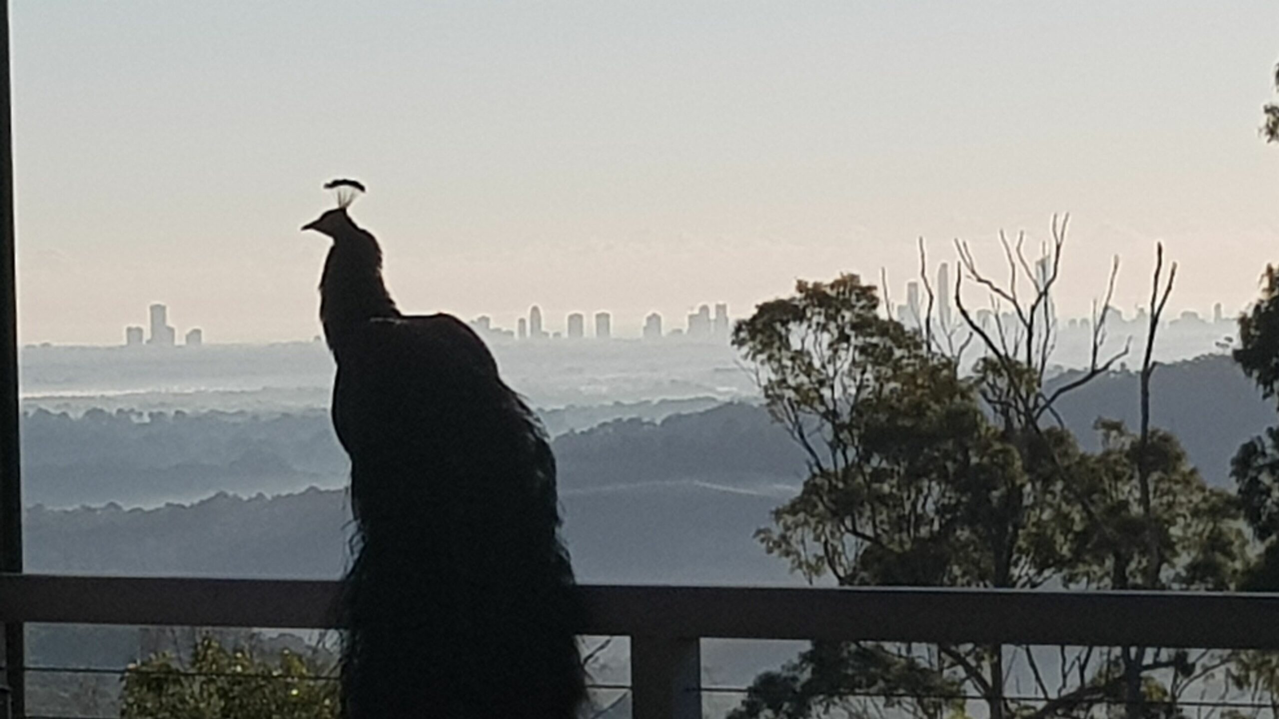 Tree House #1. Private, Stone Bath With Amazing Views to the Gold Coast.3levels