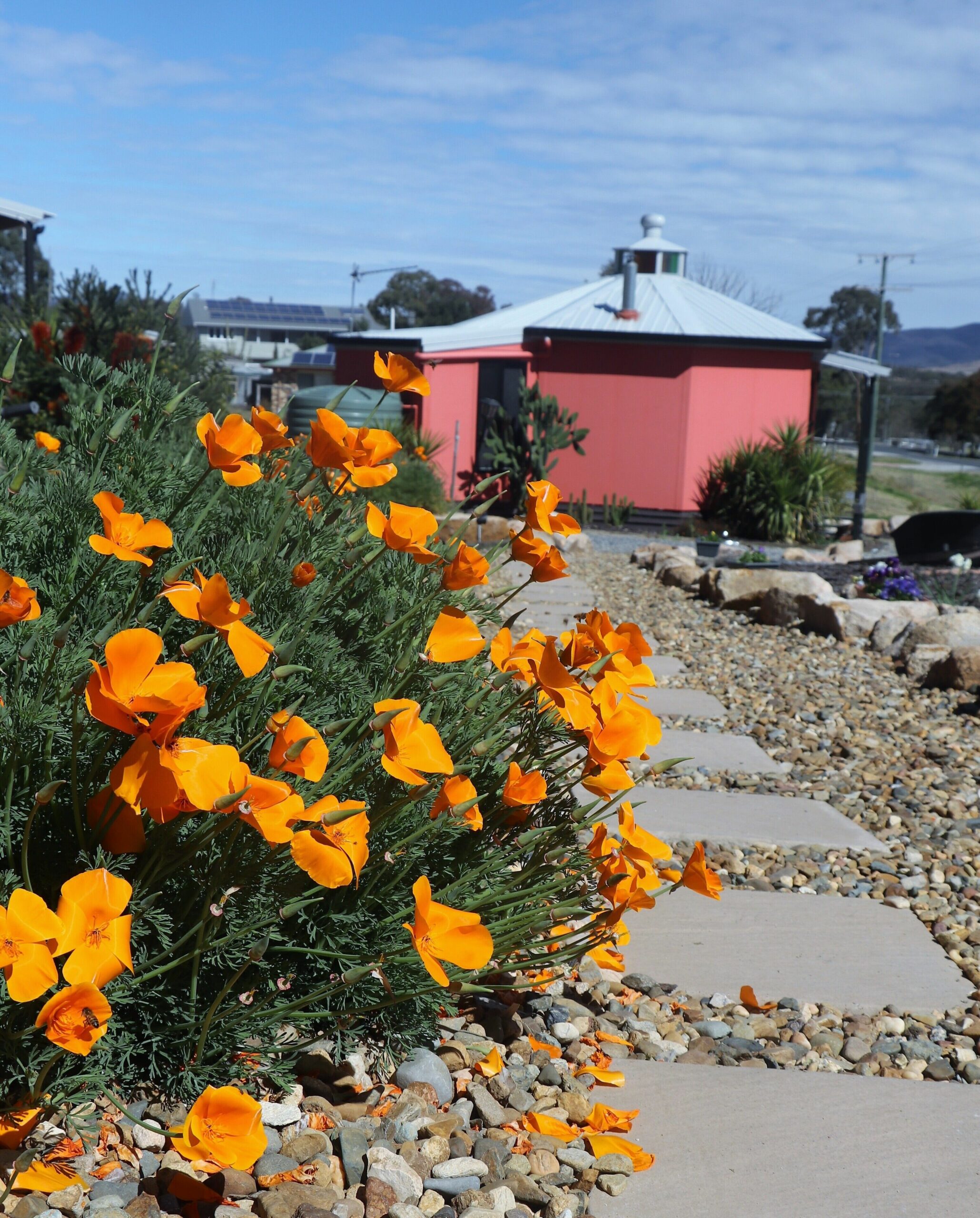 Zuny Yurt Ballandean Stanthorpe