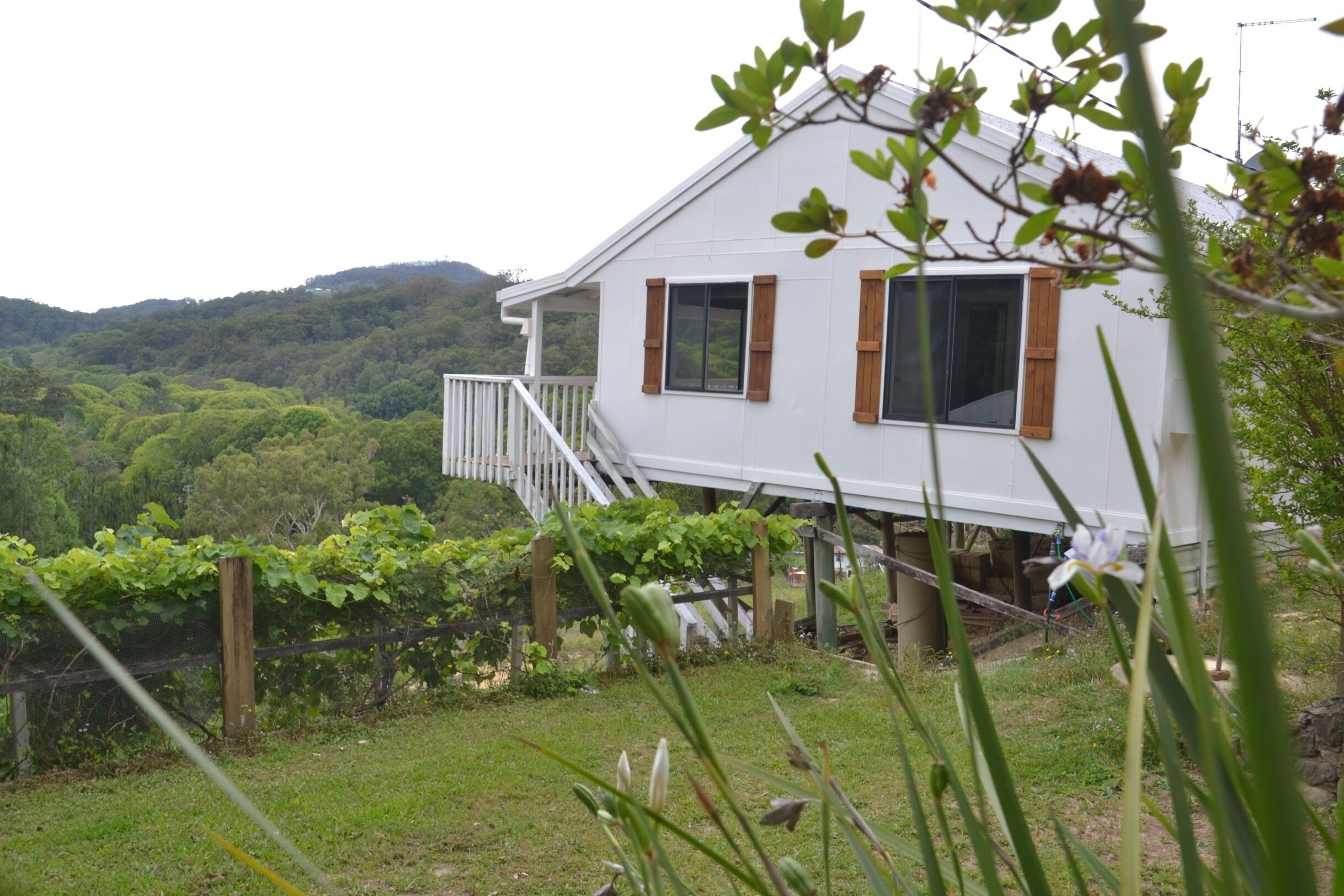 Currumbin Valley View Cottage