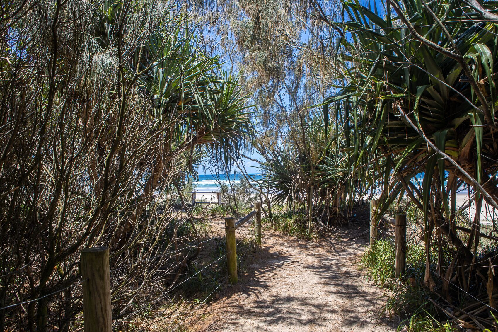 Seaside Paws - Kingscliff, NSW