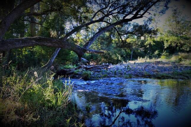 Eighteen Mile Cottage - river access with breathtaking views!