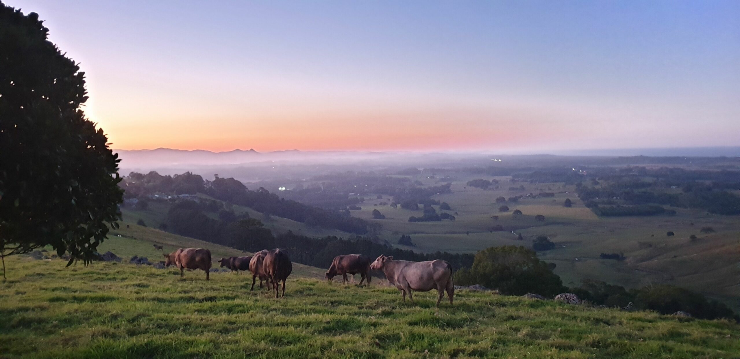 Valleydale Cottage - Byron Hinterland Escape