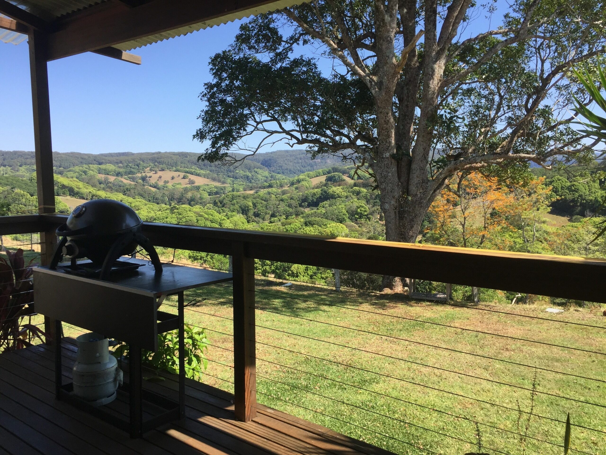 Byron Hinterland Farm Cottage on Cattle property