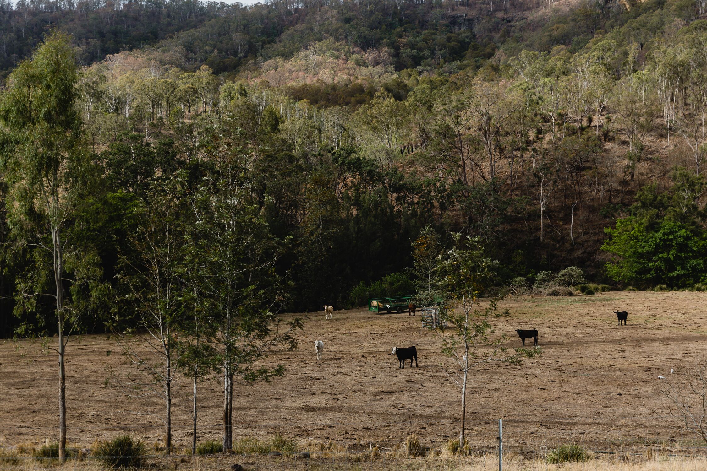 Eighteen Mile Homestead