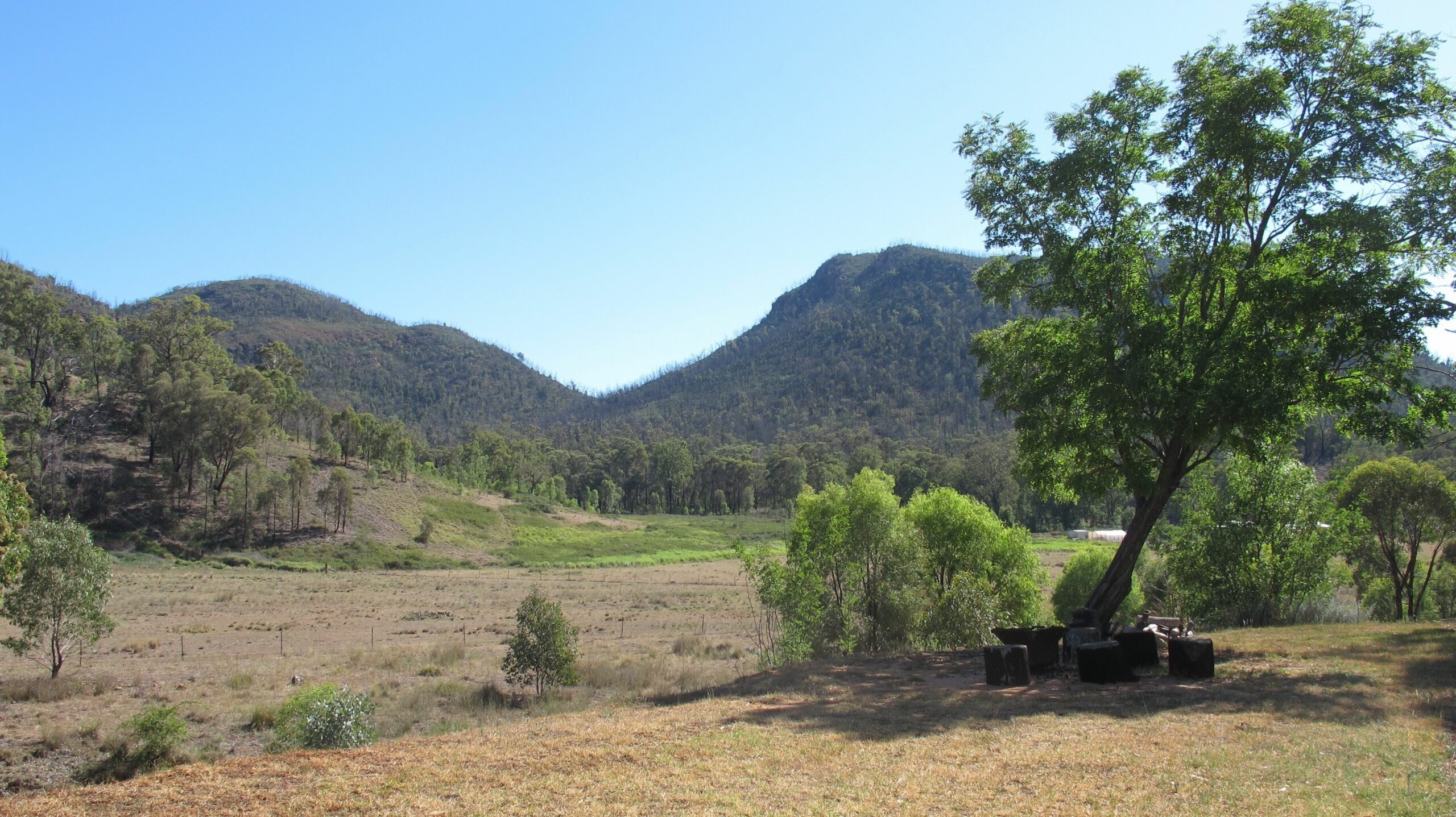 Mirrabook Cottage - Luxury mountain retreat