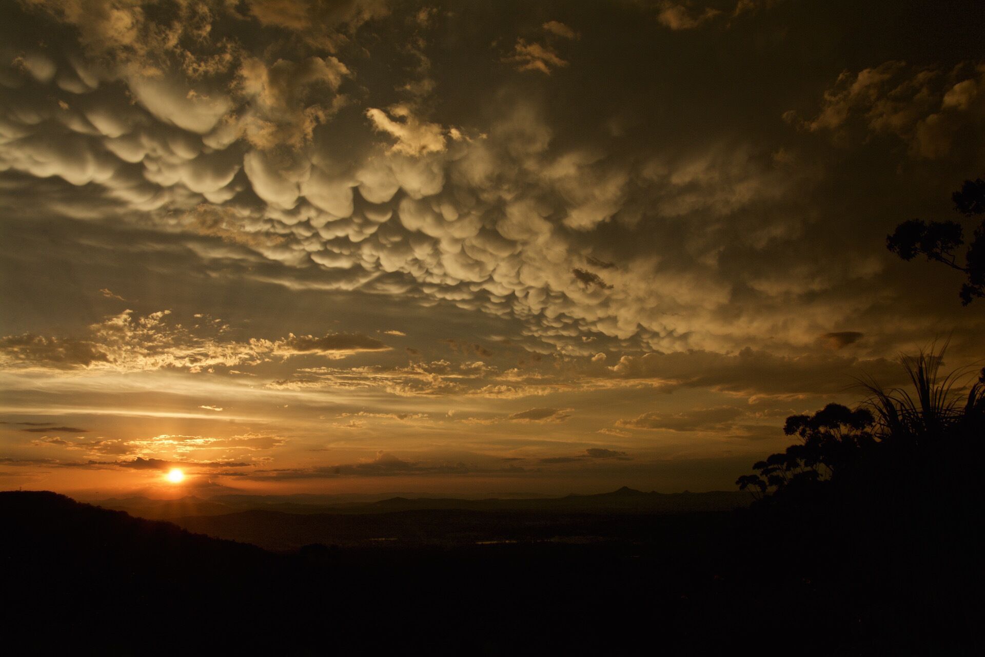 The Bird House. Spectacular sunsets. Perfect for large Groups