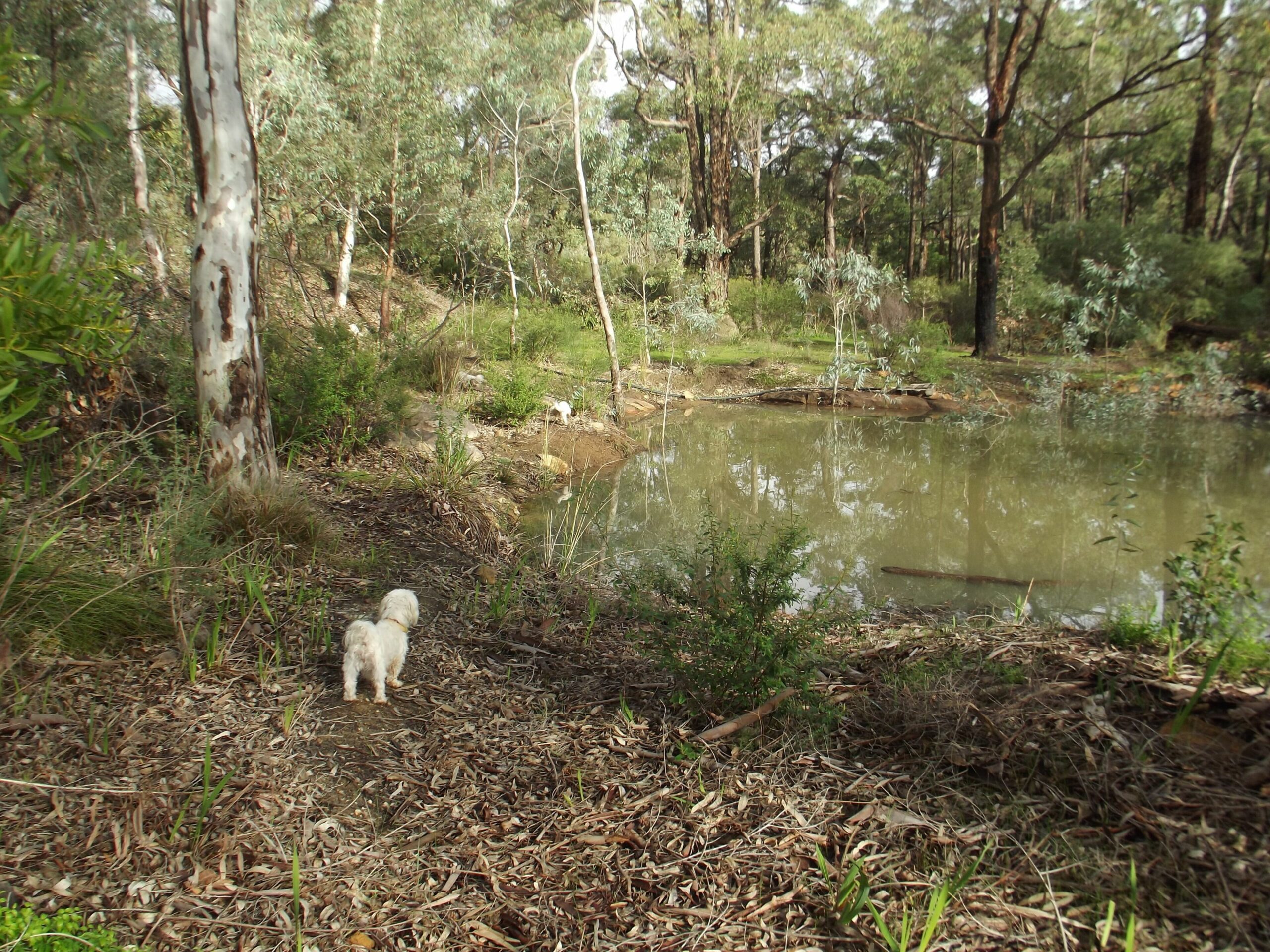 Escape in This dog Friendly Self-contained Luxurious 2 Storey Cottage