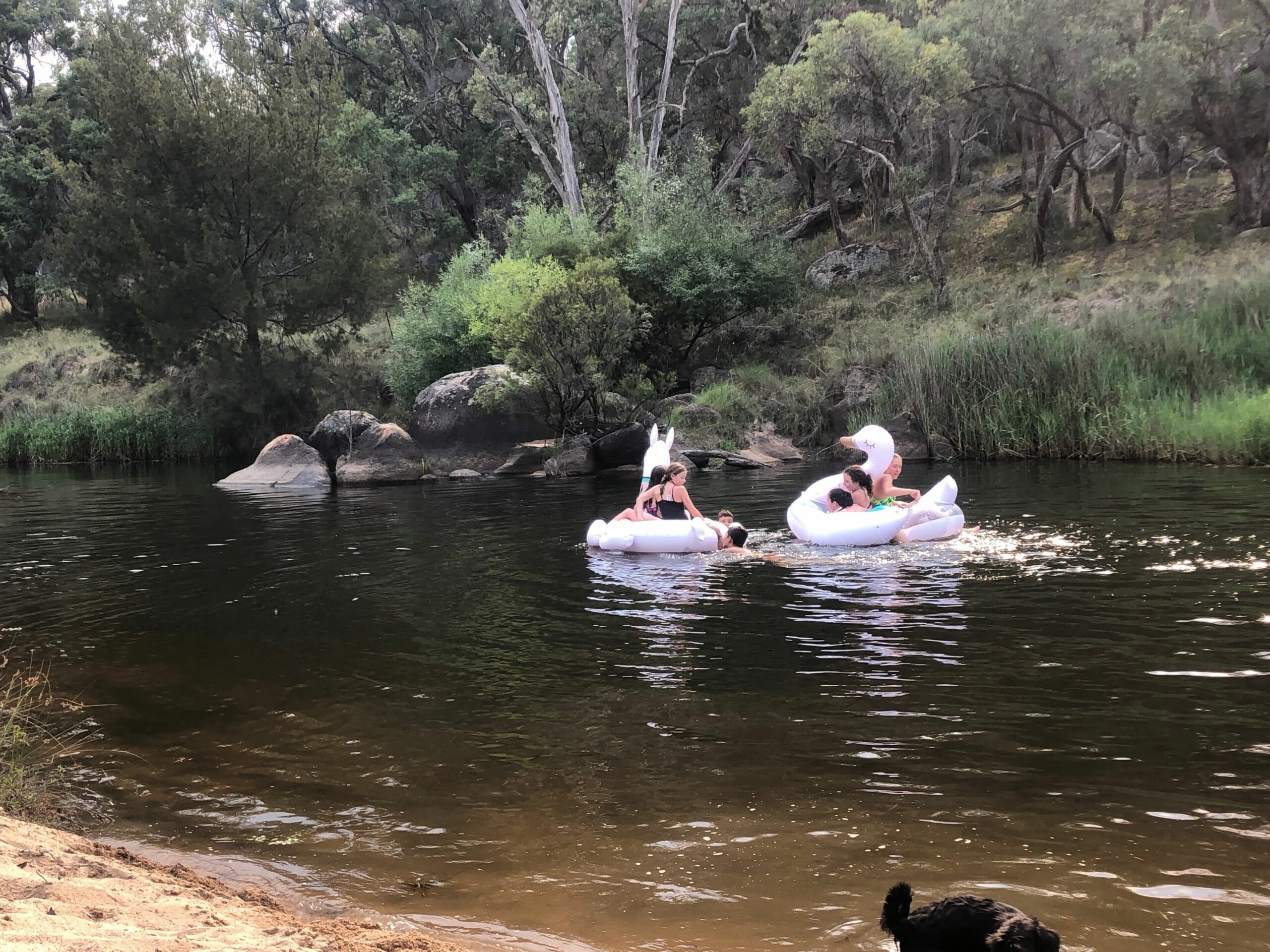 Charming Lochiel Cottage Farmstay