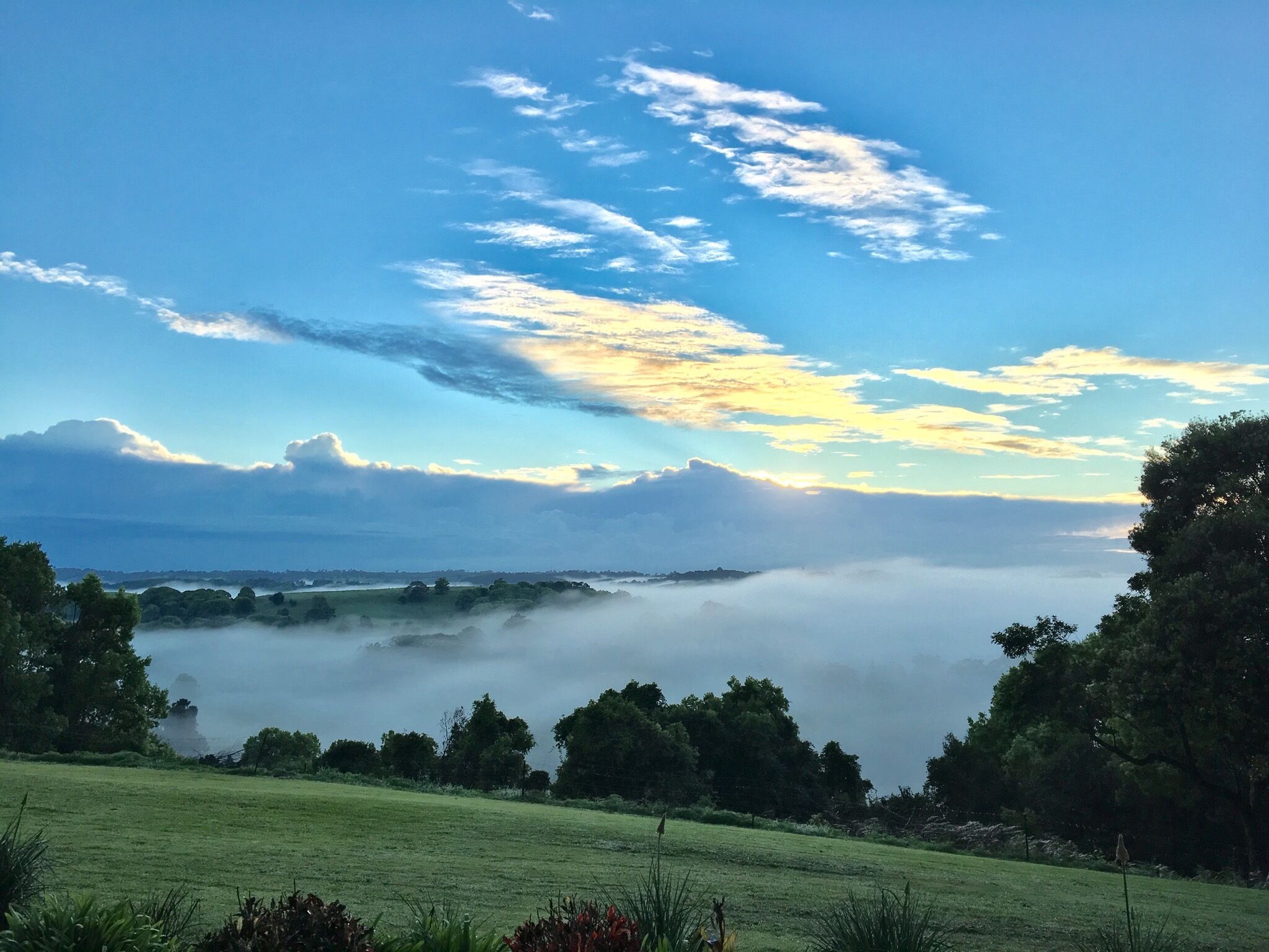 Byron Bay Hinterland - Rosebank View