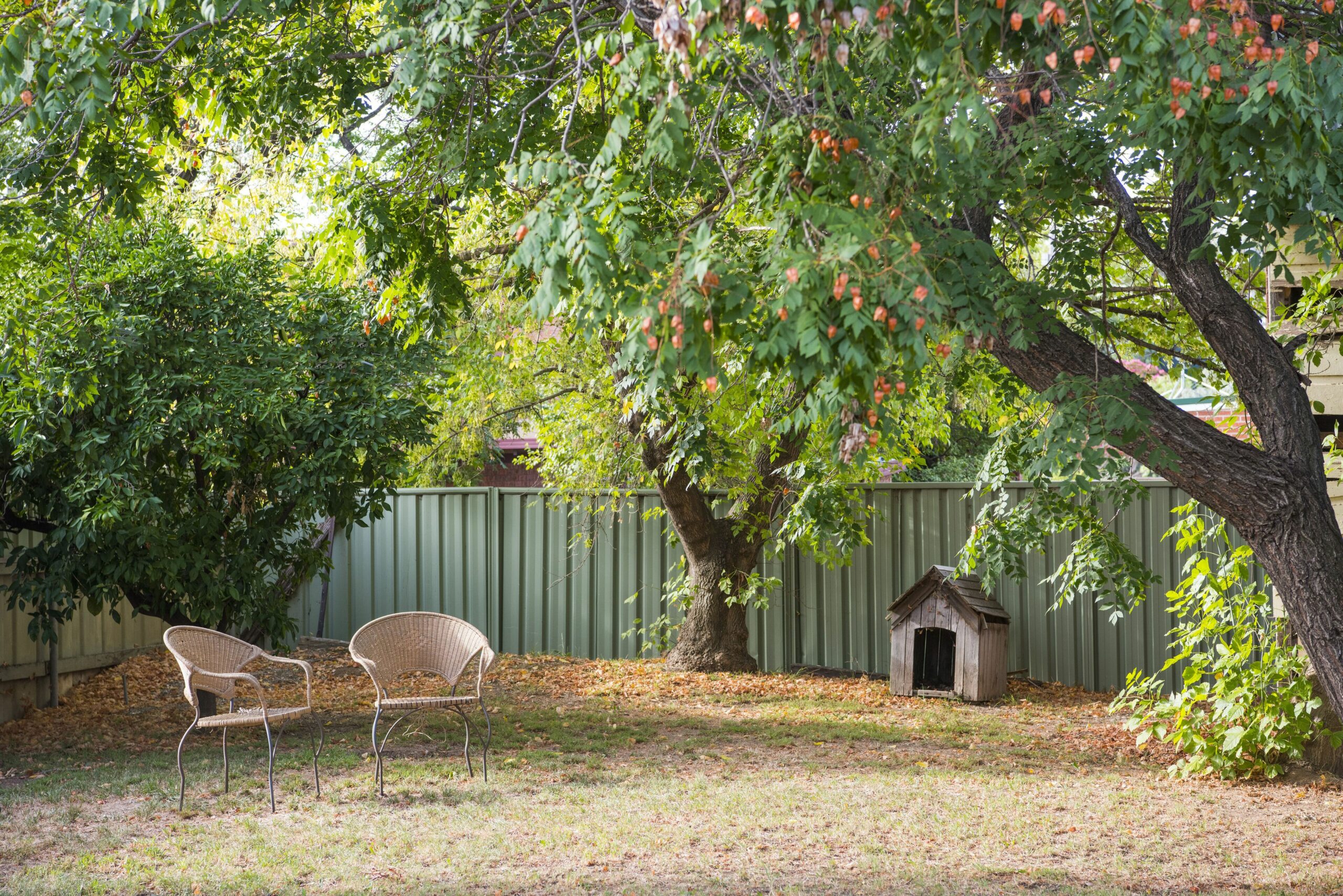 Ideal Mudgee Stay! Central Location - 1-2 Blocks to Anywhere in the Town Centre