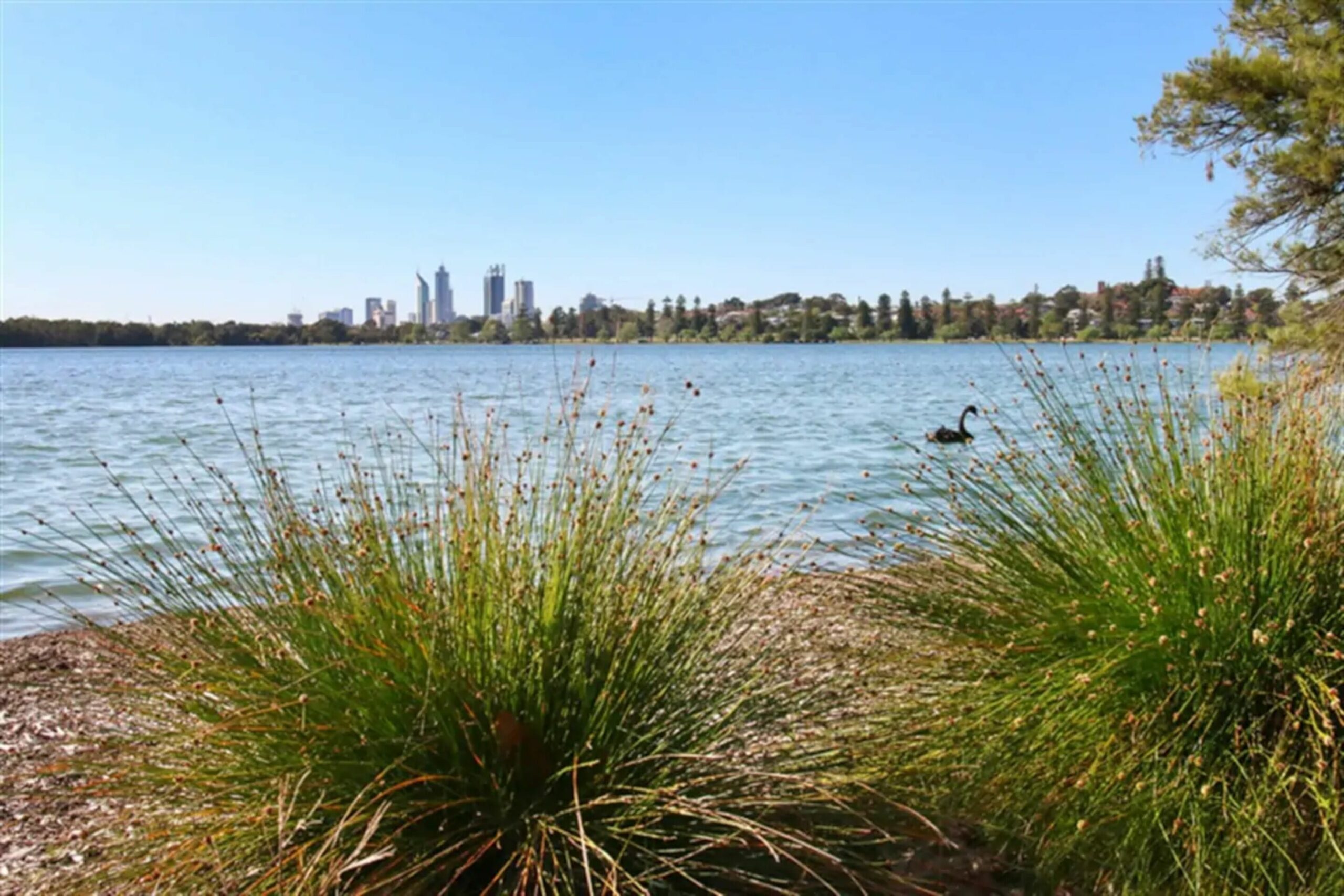 Spacious Home In Mount Hawthorn Next To Lake Monger