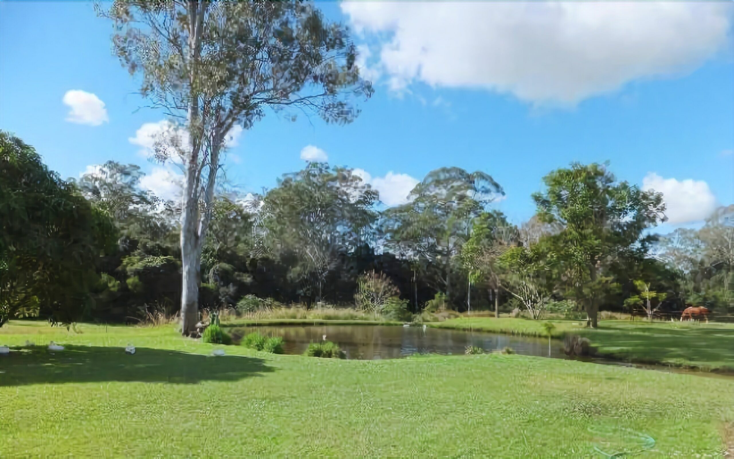 Caboolture 4.5 Star Holiday Home at the Gateway to the Sunshine Coast in Qld