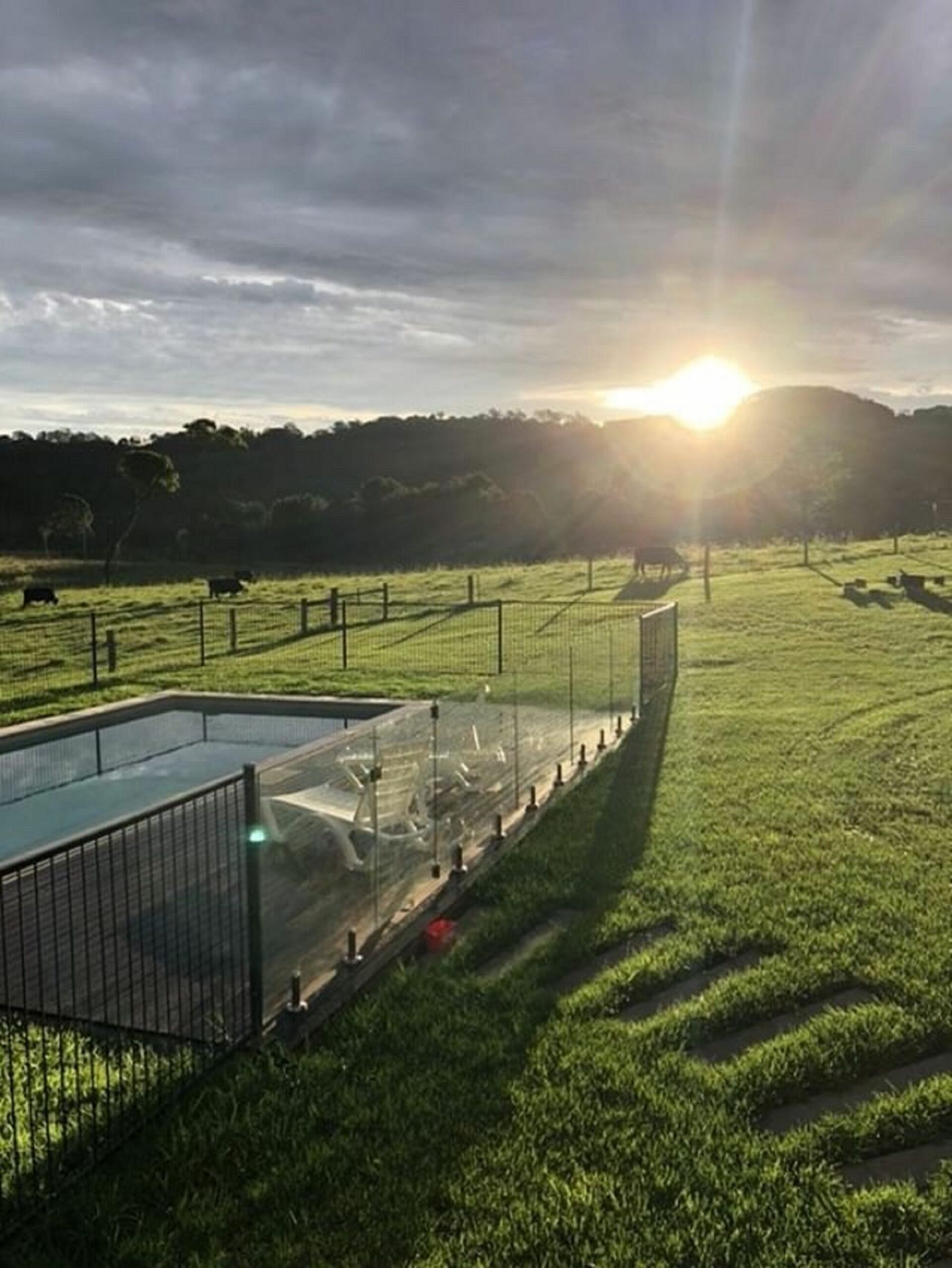 Byron Bay Hinterland-Teak Tree Farm