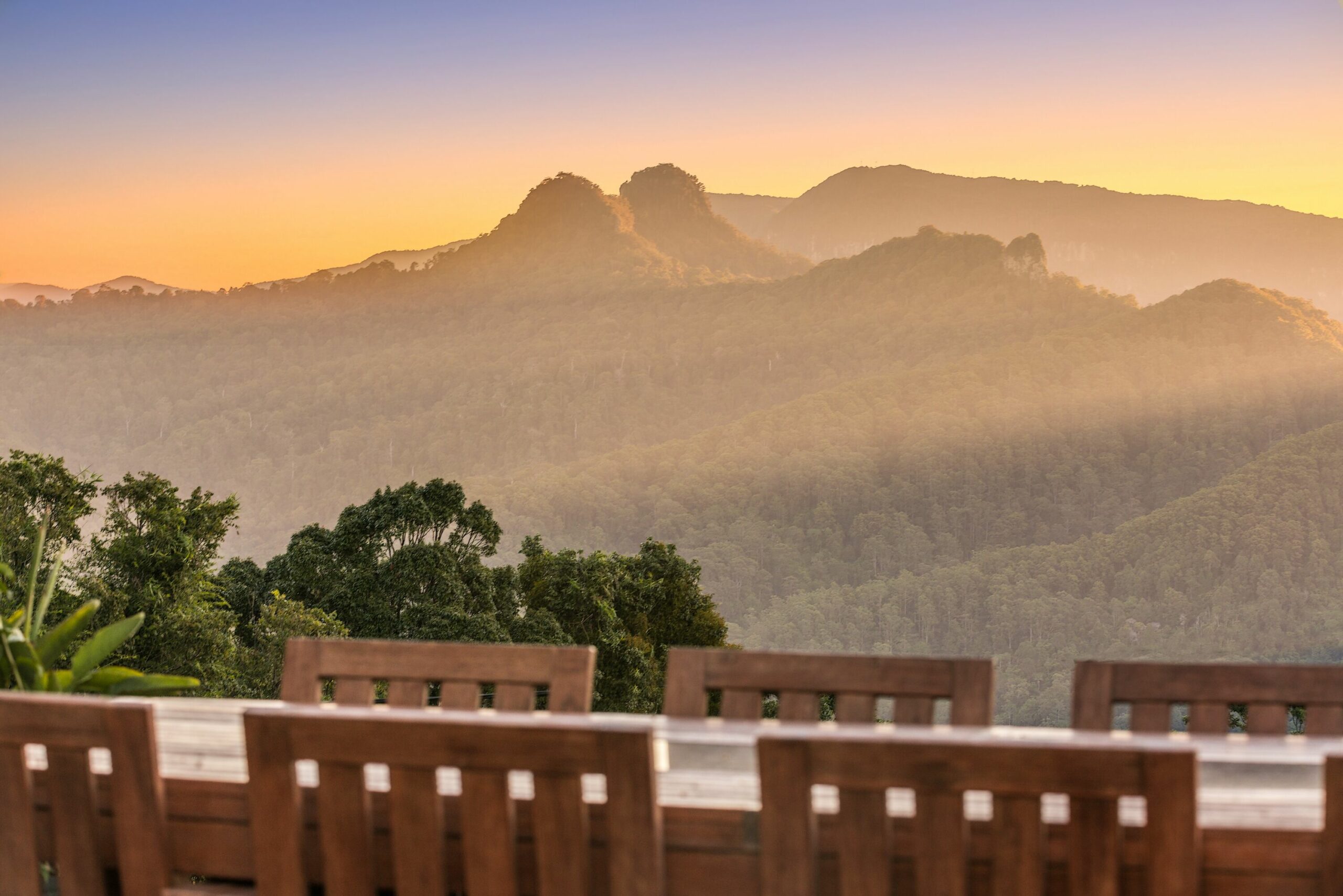 Captivating Currumbin Valley