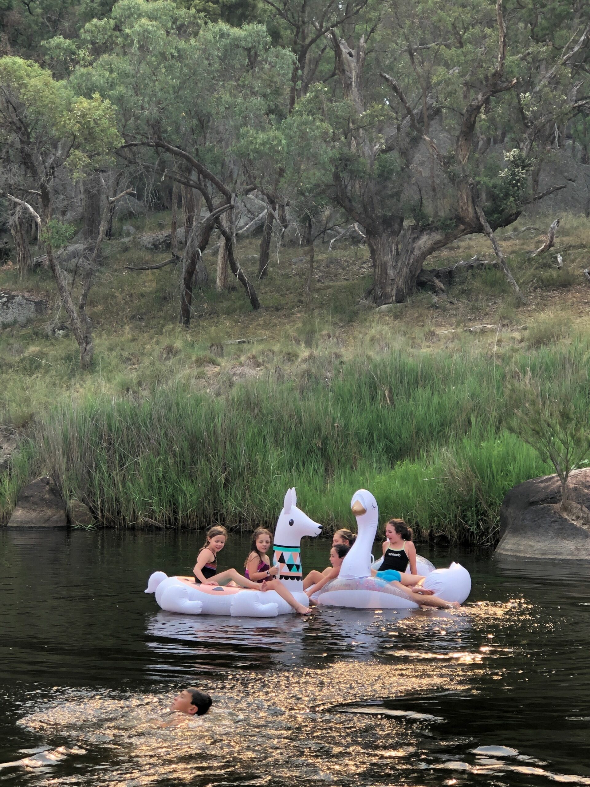 Charming Lochiel Cottage Farmstay