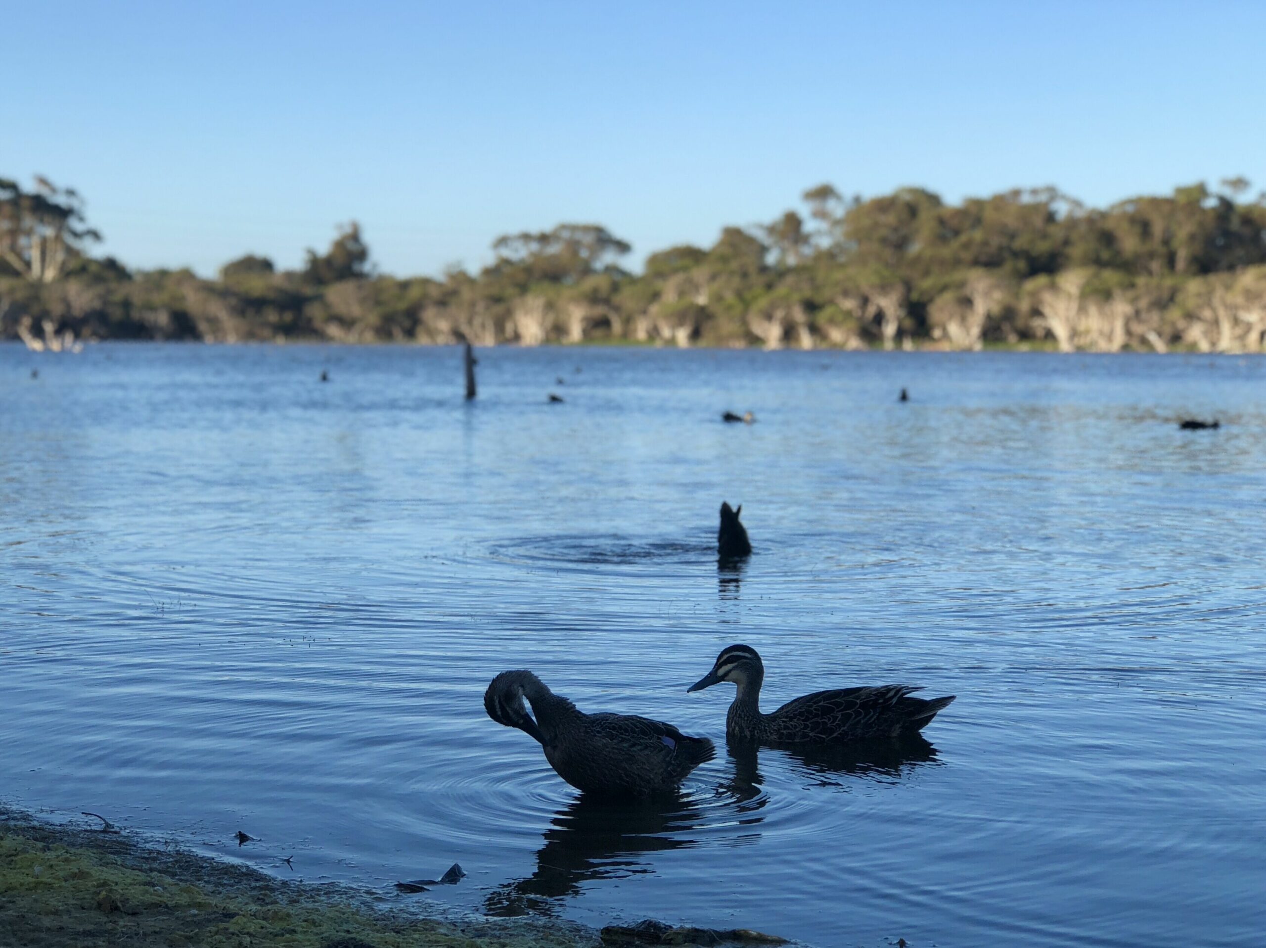 Manning Park -Close to Fremantle