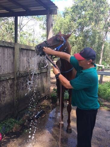 Magpie Creek Thoroughbred Farmstay Family Unit