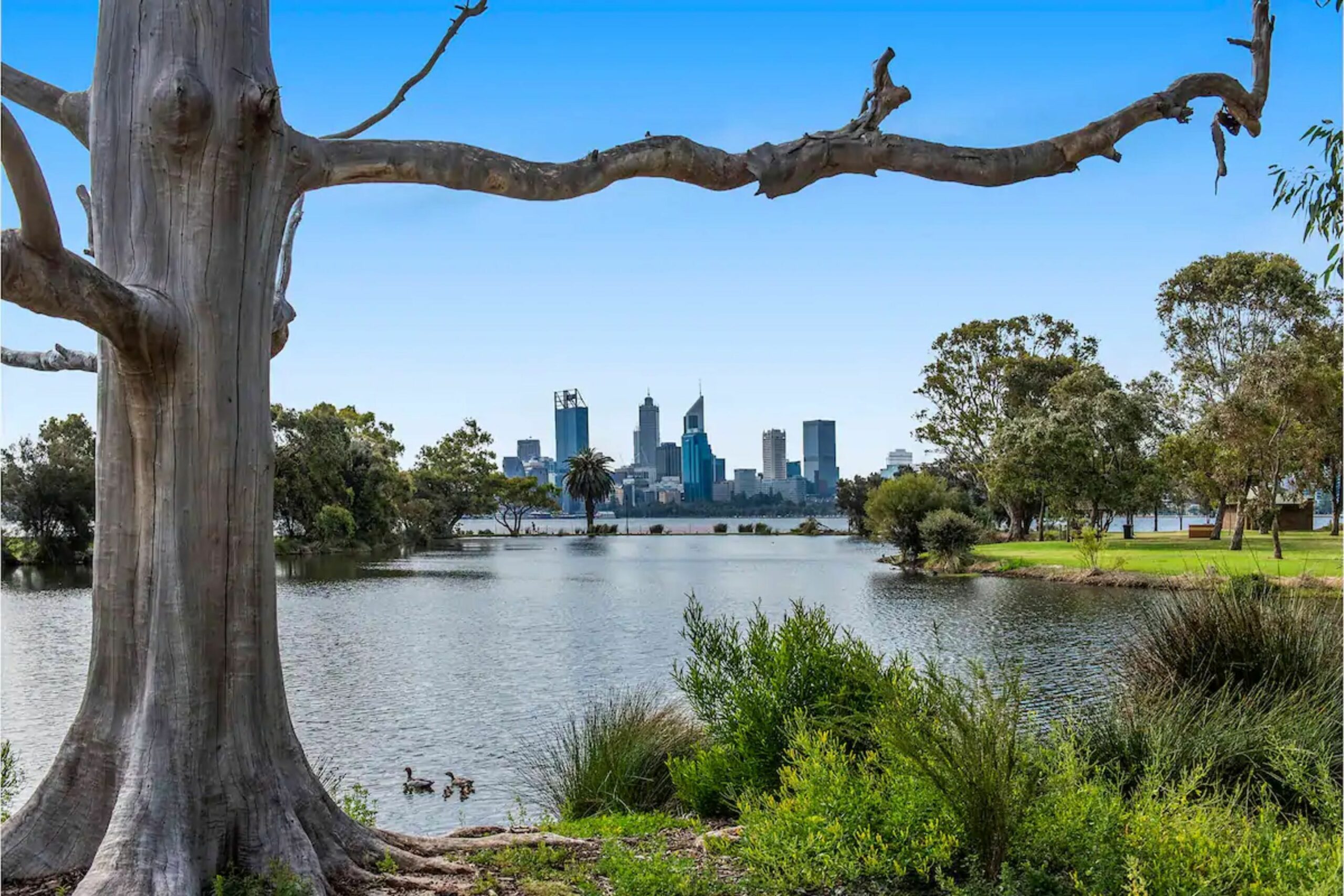 Peaceful South Perth Home Close To Perth Centre