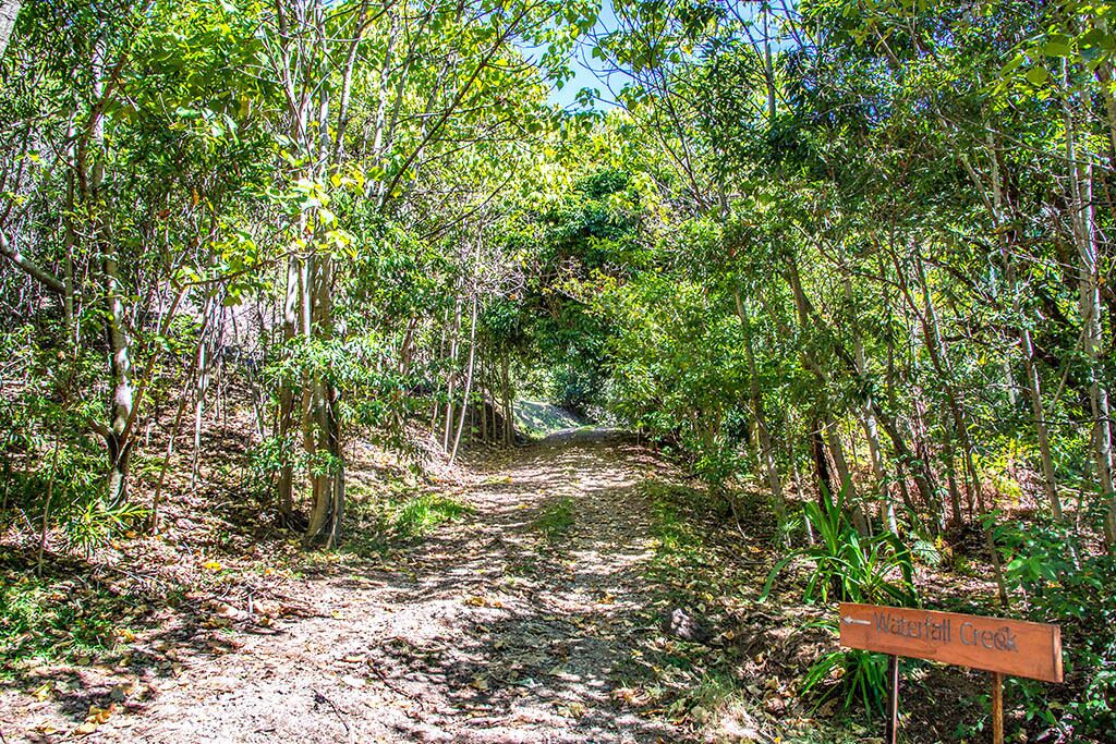 CLOGHEEN COTTAGE  Stunning Mountain and Ocean Views in the Byron Bay Hinterland