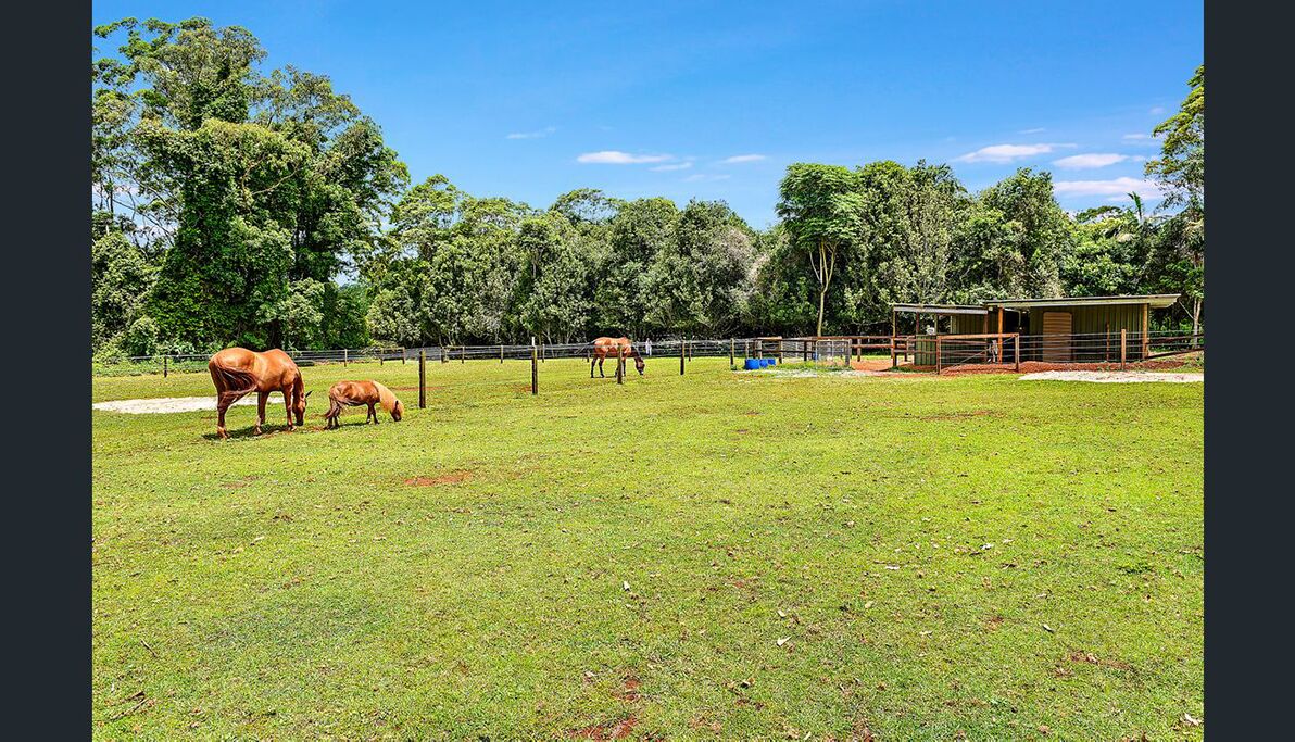 Rosella Luxury Cottage - Mount Tamborine