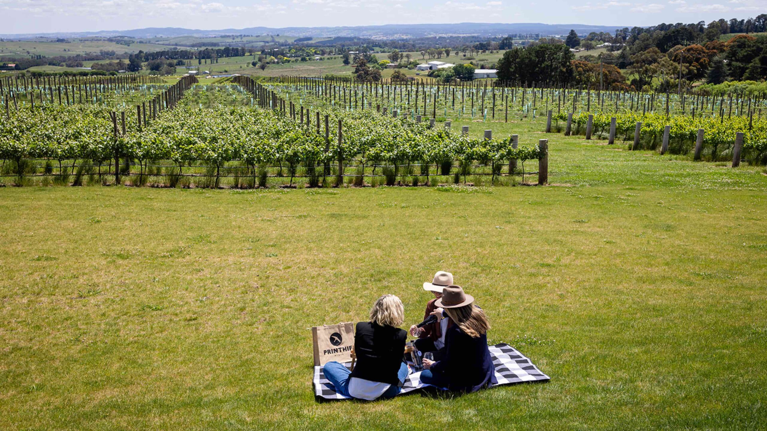 Printhie Picnic for 2