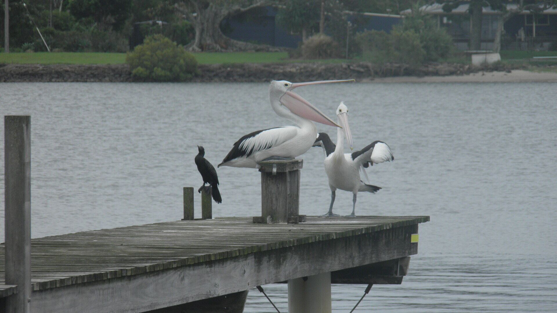 Right next to the Richmond River