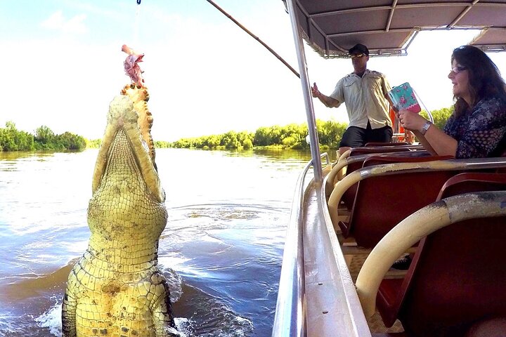 Jumping Crocodile Cruise with lunch