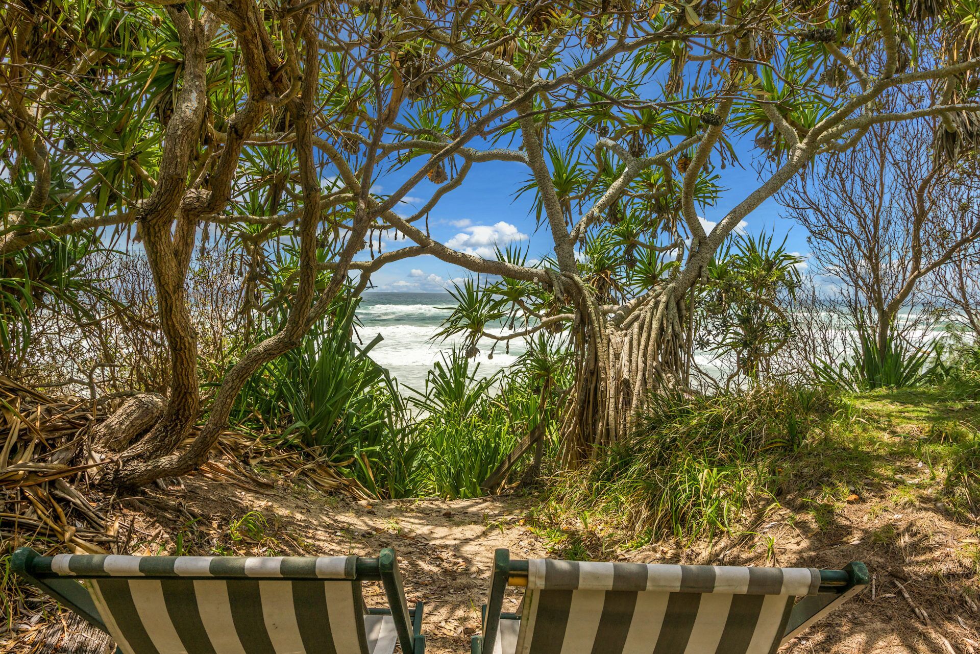 A Sweet Escape - Beachfront@suffolk