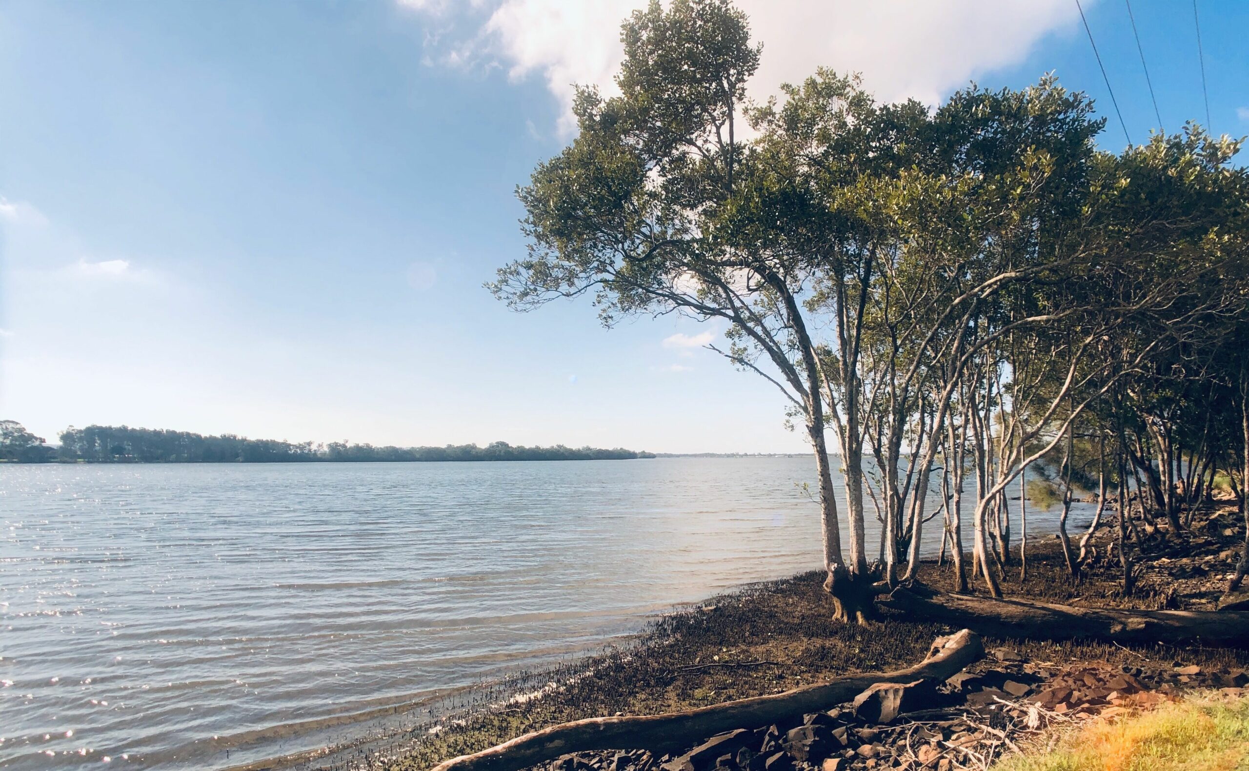 Right next to the Richmond River