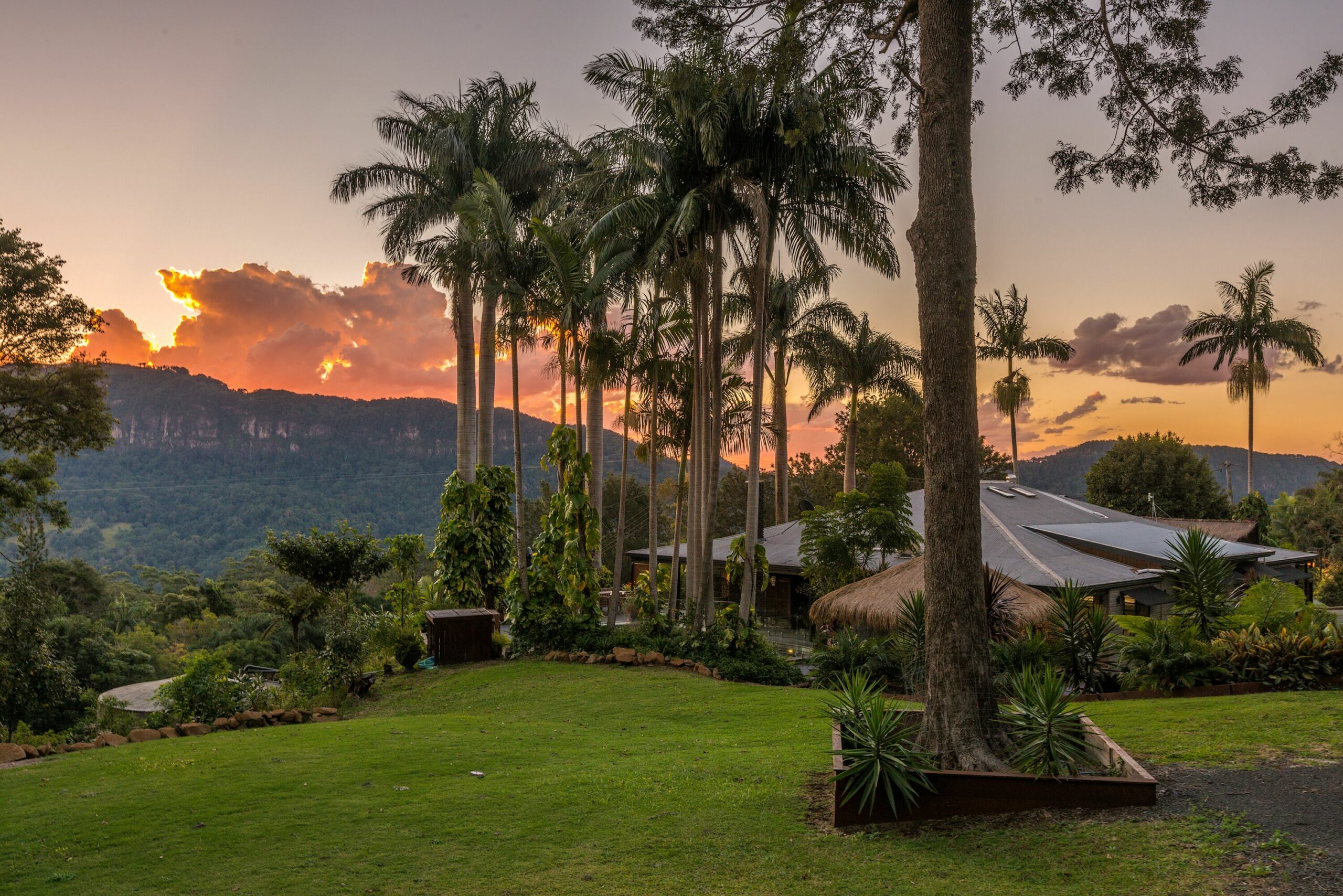 Captivating Currumbin Valley