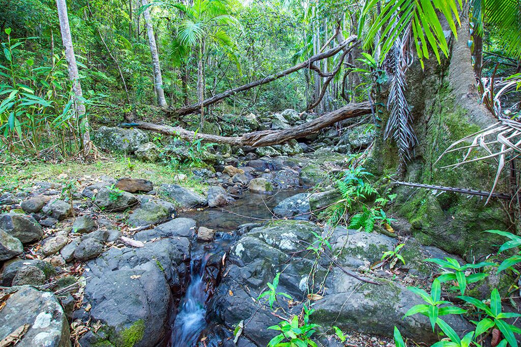 CLOGHEEN COTTAGE  Stunning Mountain and Ocean Views in the Byron Bay Hinterland