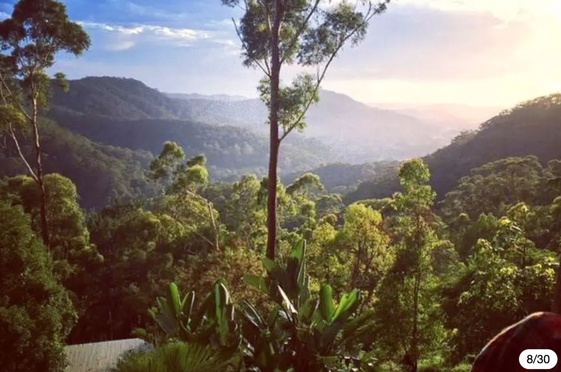 The Treepod-wake up to the Sunrise with views over valley to the Ocean