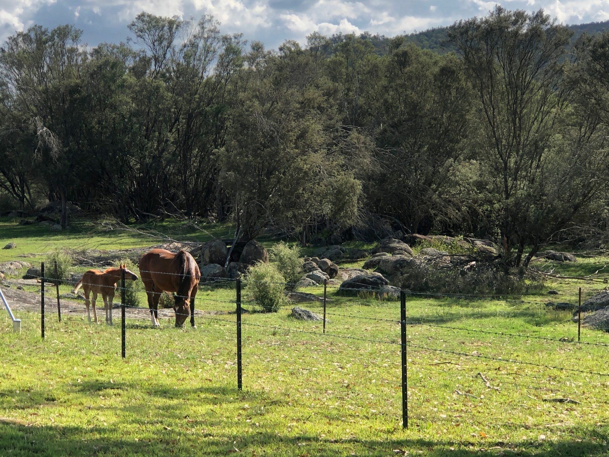 Charming Lochiel Cottage Farmstay