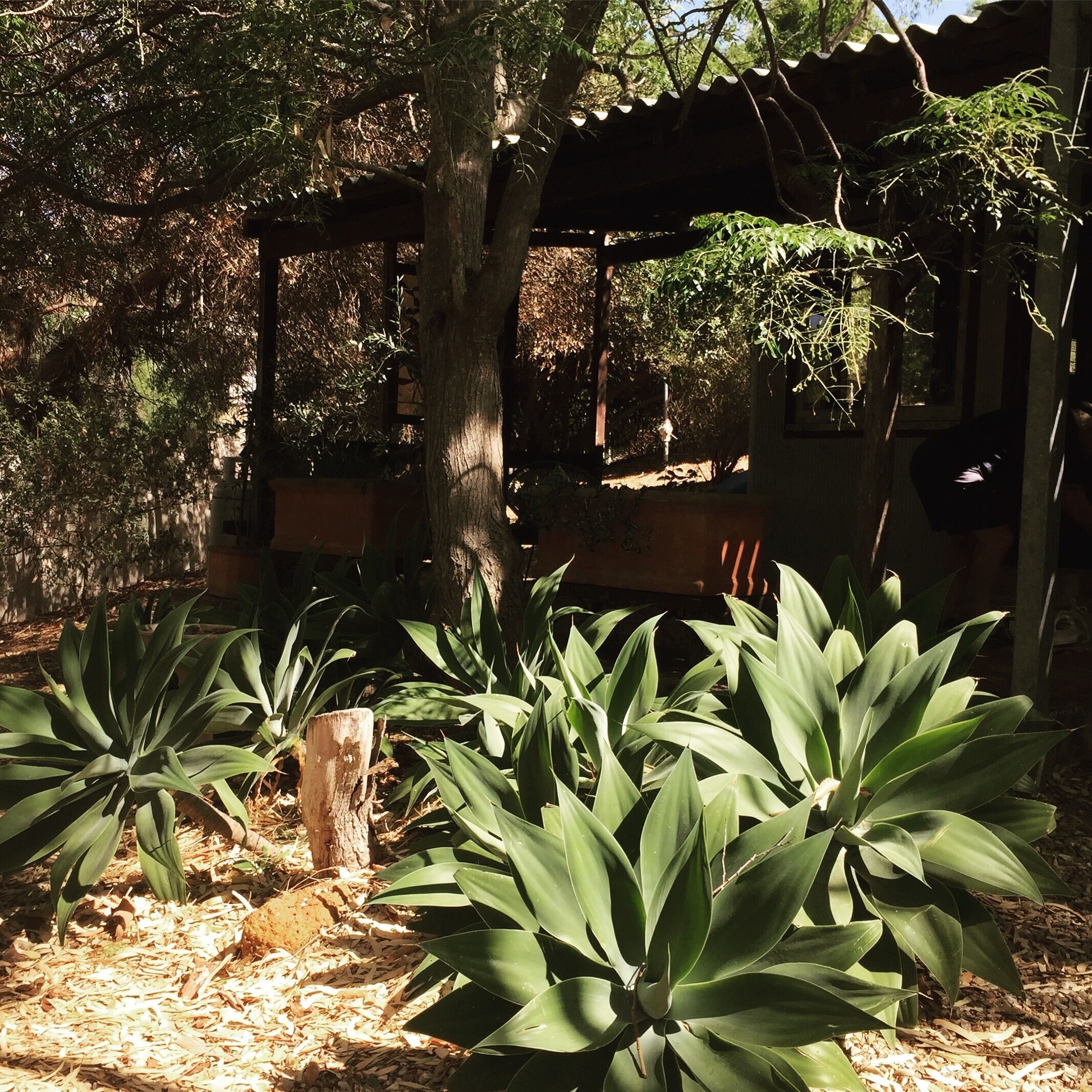 The Treehouse ~ Sanitised - YES !!!- Bed Linen & Kayaks Incl - Pets Welcome!