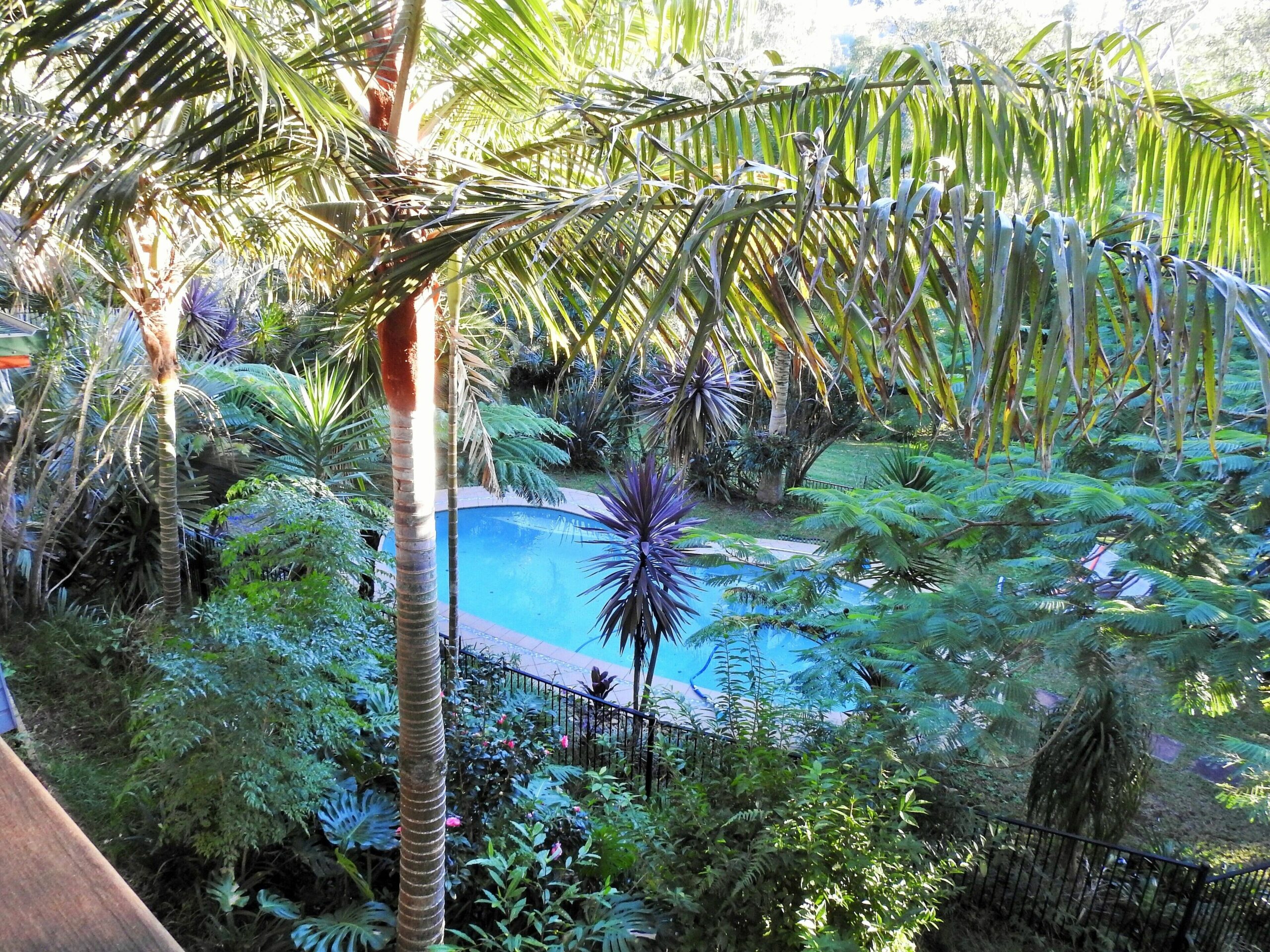 Private serene spacious large house with swimming pool, near Byron Bay