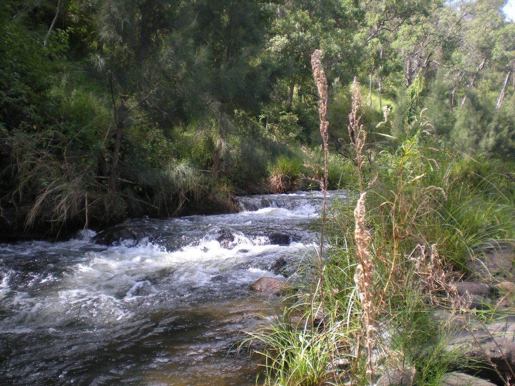 Beaumont High Country Homestead - Peaceful Getaway on a Working Cattle Property