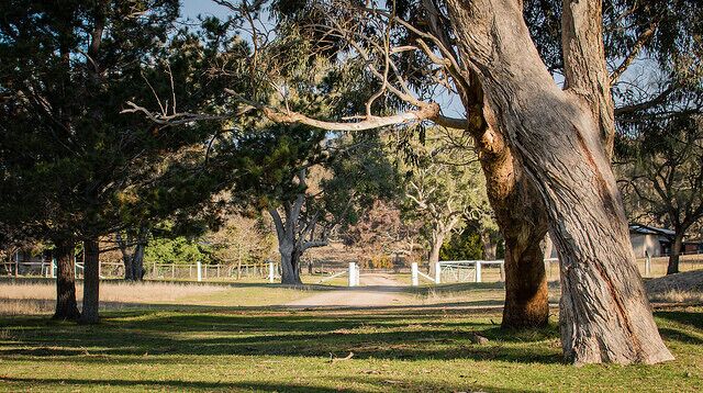 Oakhurst Cottage Farmstay