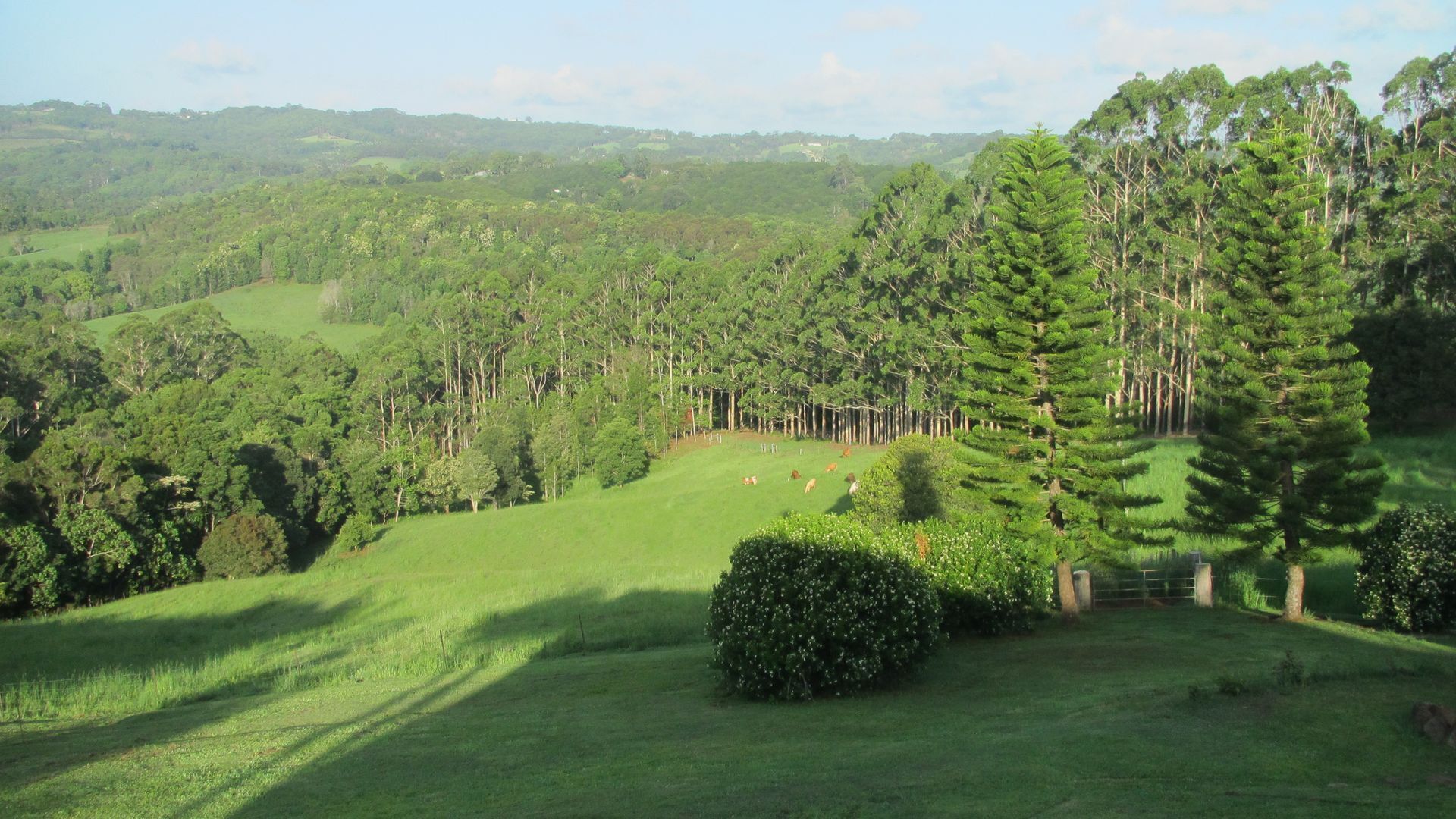 Hill Corner - Byron Bay Hinterland