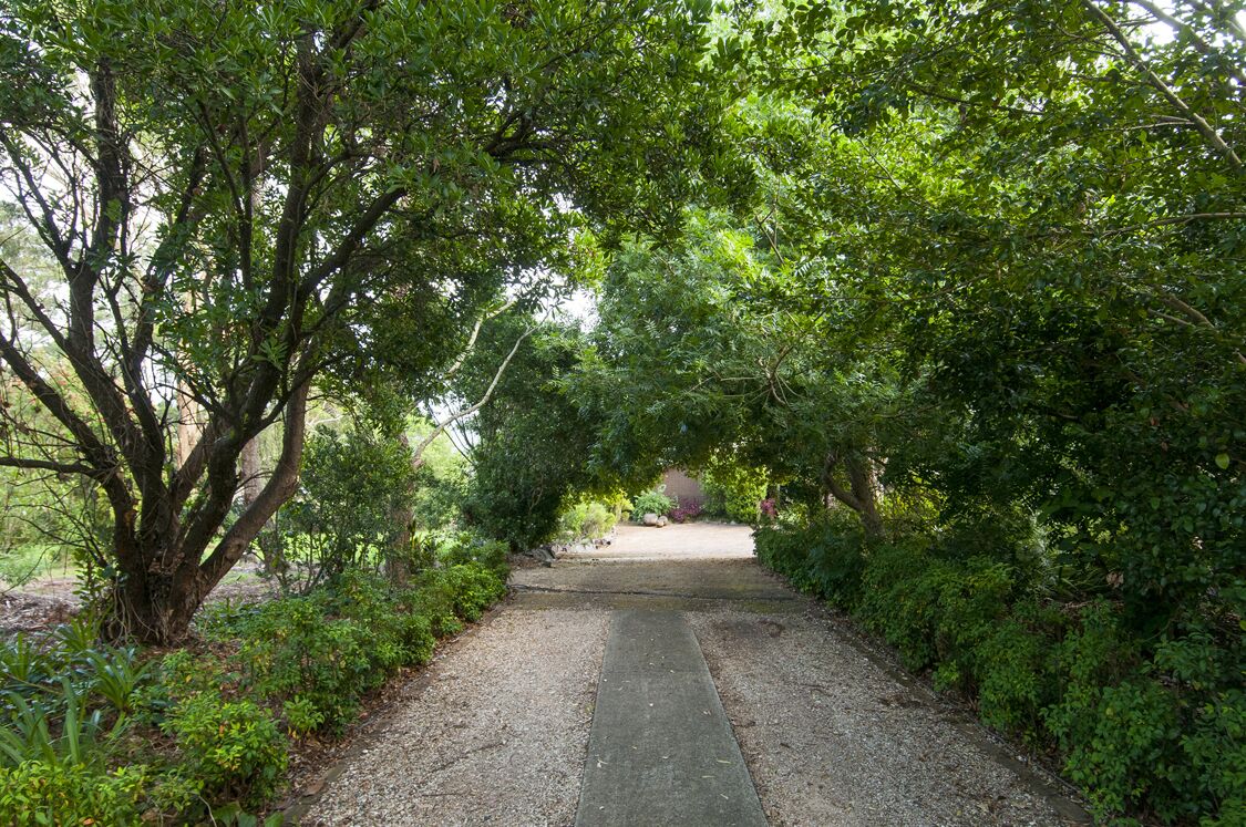 Studio in Prize Winning Garden on the Edge of The Great Dividing Range