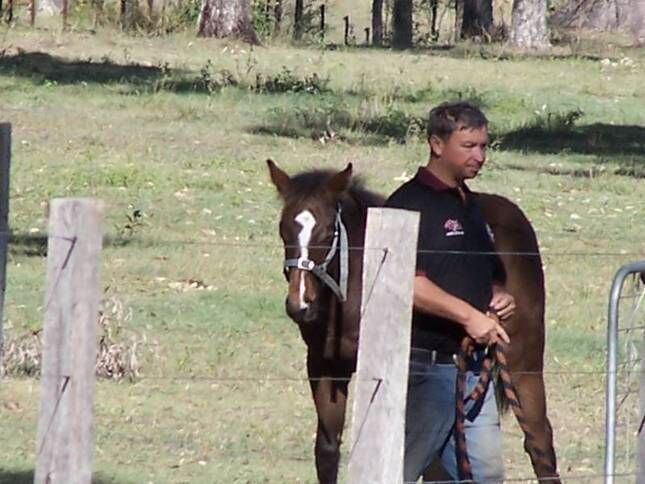 Magpie Creek Thoroughbred Farmstay Family Unit