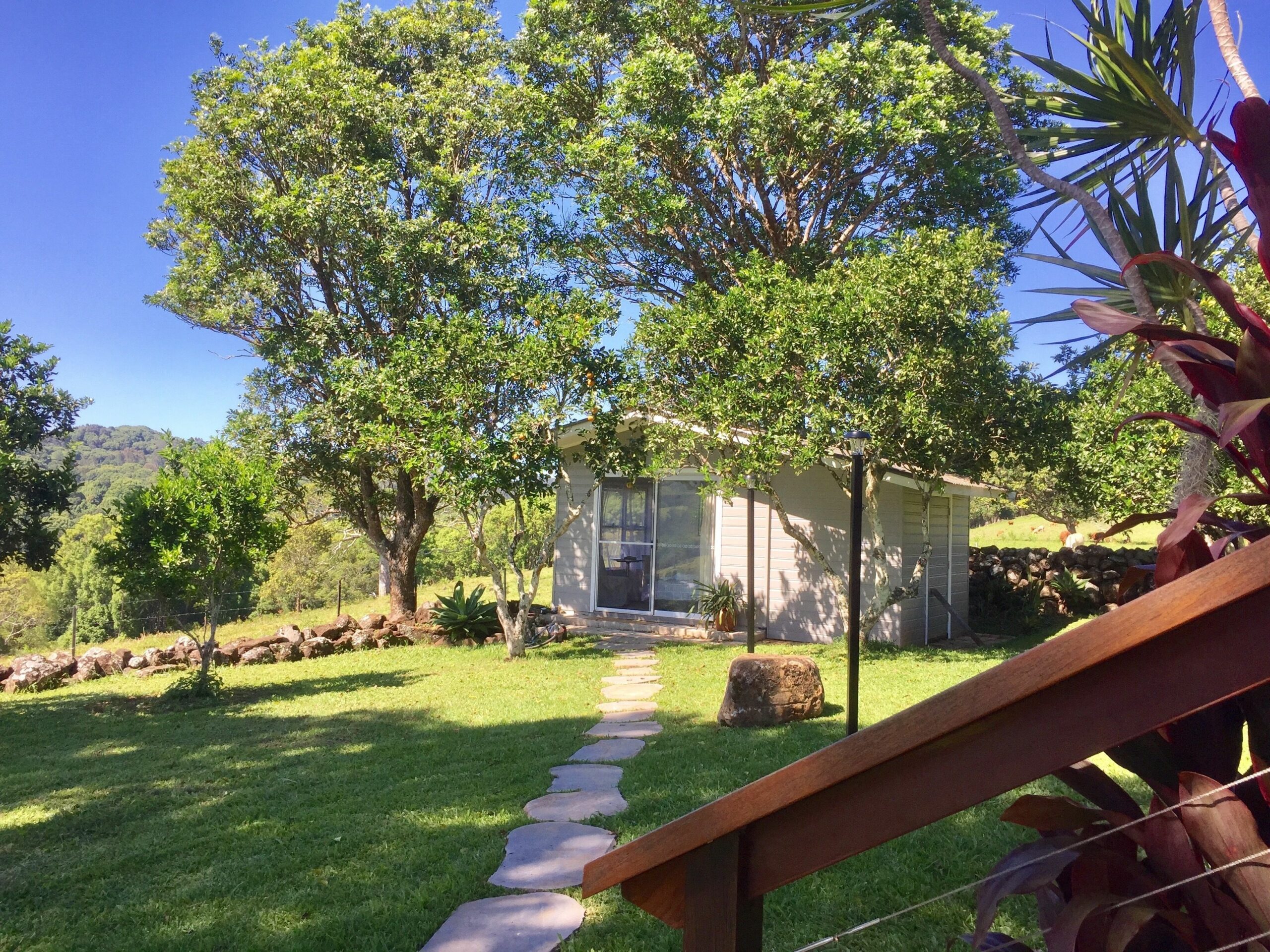 Byron Hinterland Farm Cottage on Cattle property