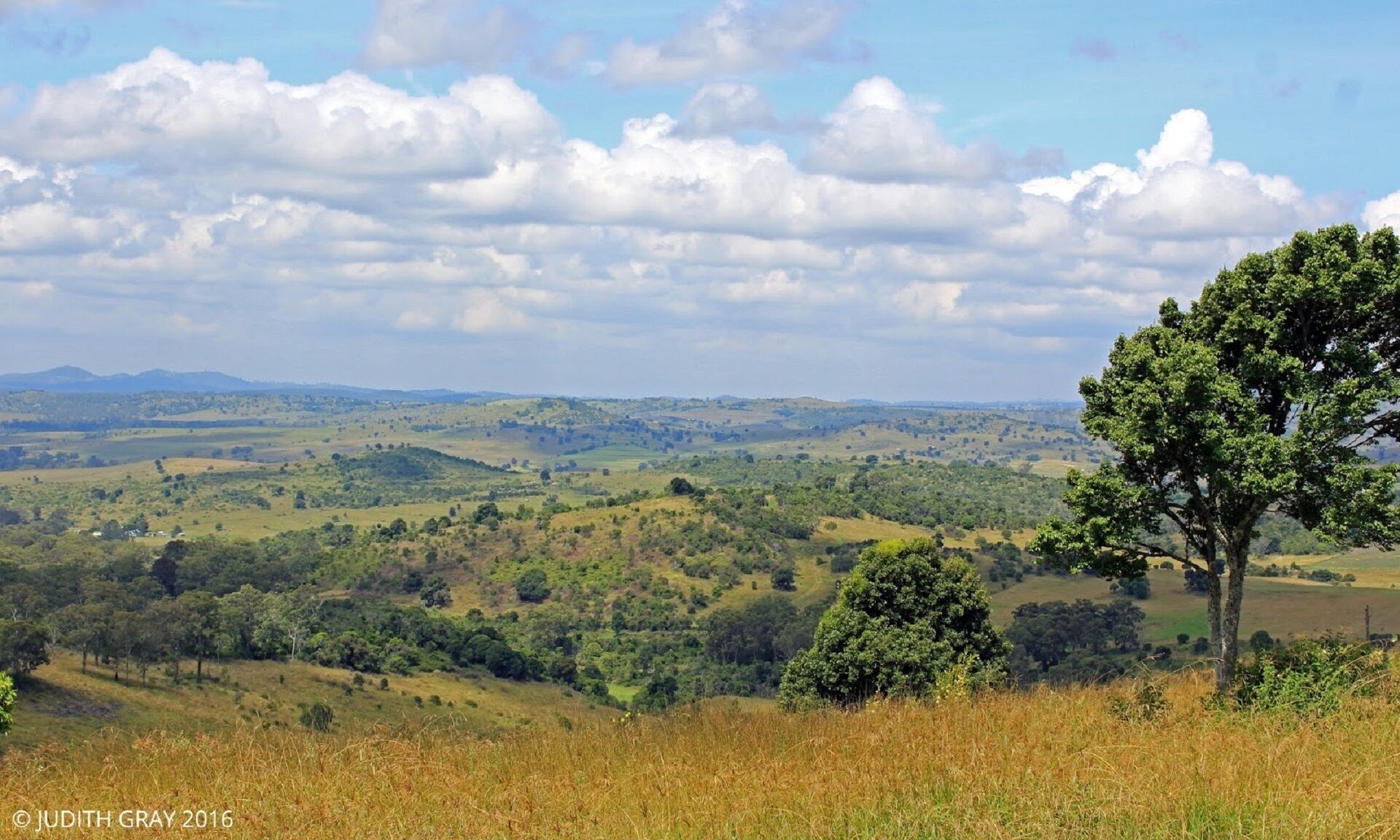 Escape to the Country - Enjoy the Firepit or Explore Magical Bunya Mountains